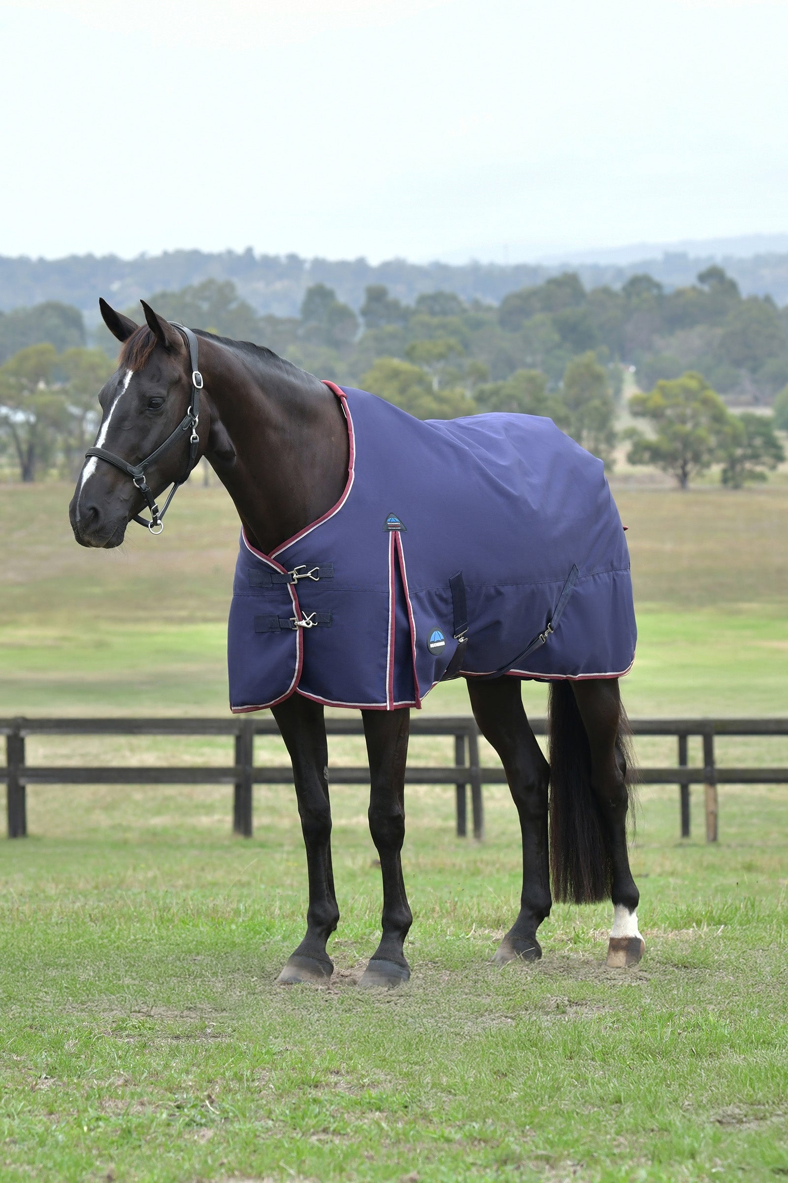 Weatherbeeta ComFiTec Essential Turnout Standard Neck 50G Coperte per cavalli