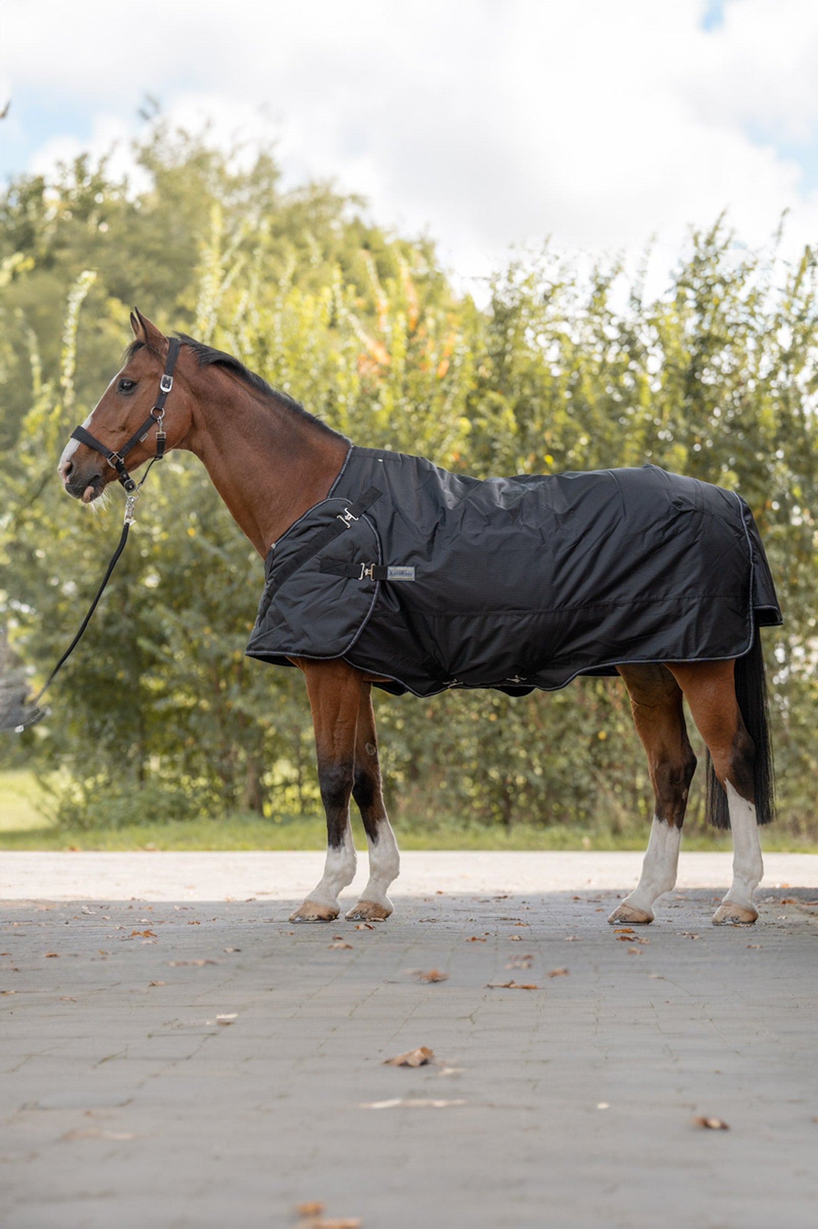 Kavalkade Halifax 2-in-1 Coperta da turnout leggera e Coperta da walker 50g Coperte per cavalli