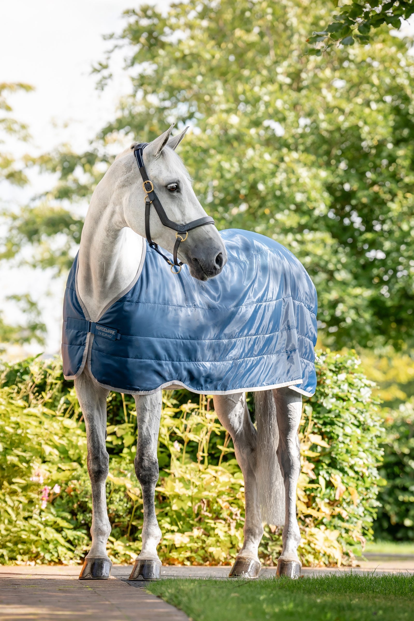 Horseware Ionic Therapy sottocoperta 200 g Coperte per cavalli