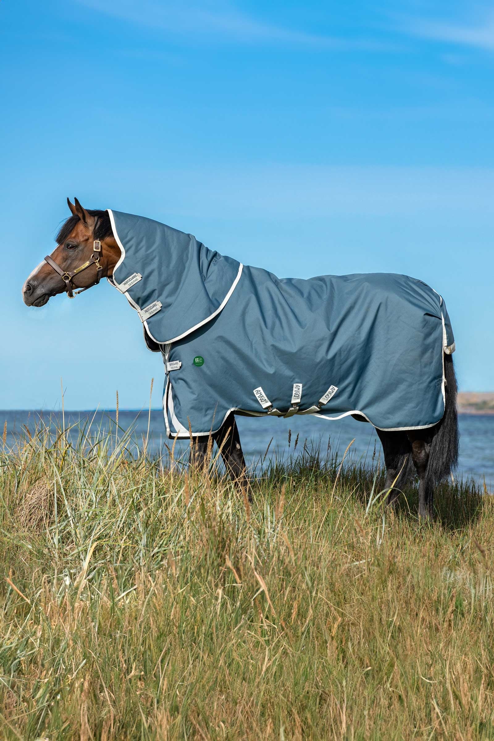 Horseware Amigo AmEco 12 Plus coperta da turnout con collo staccabile, 100g Coperte per cavalli