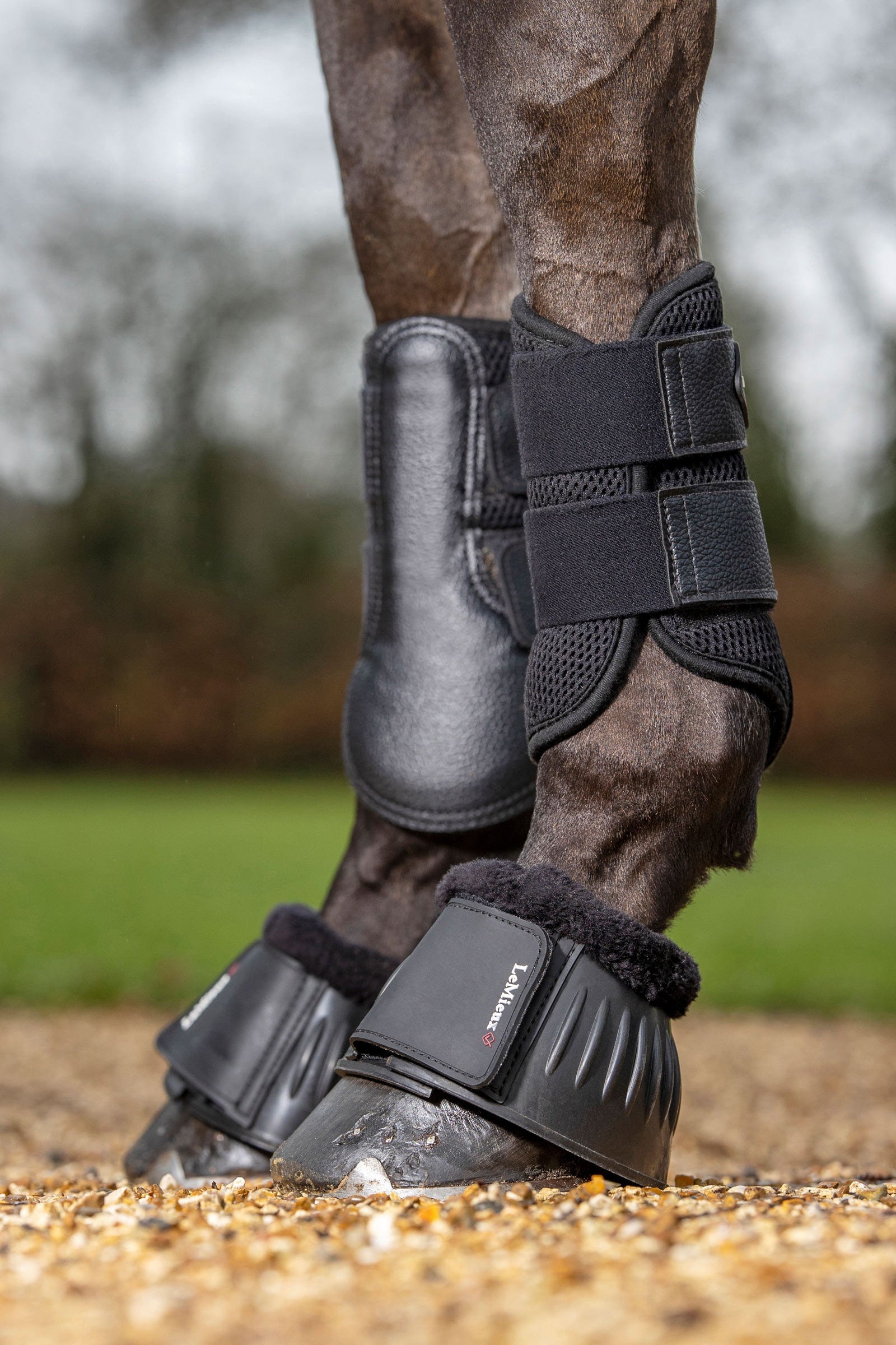LeMieux Mesh Brushing Boots Leg Protection & Hoof Protection for Horses