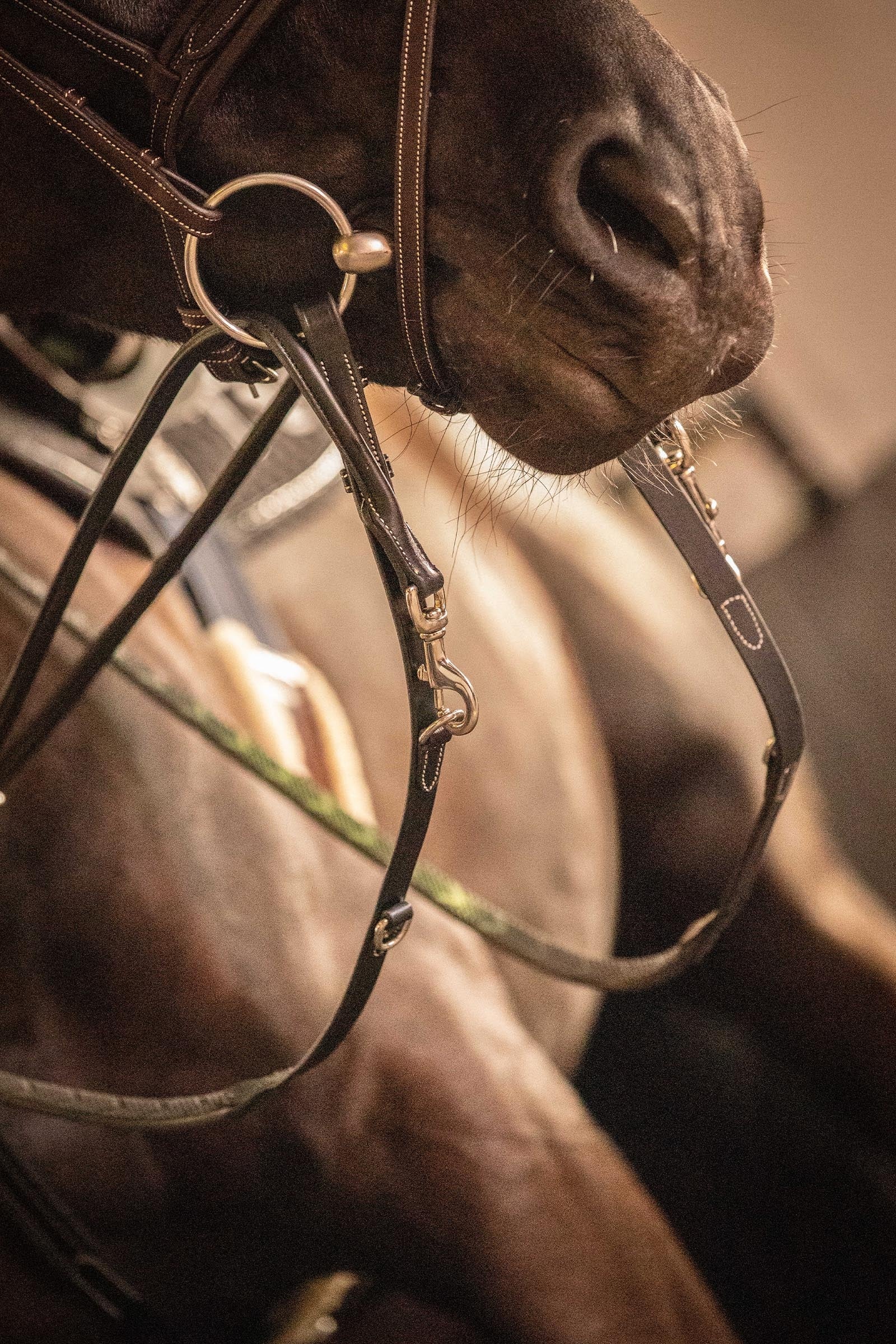 PENELOPE Howlett Reins Bridles & Reins