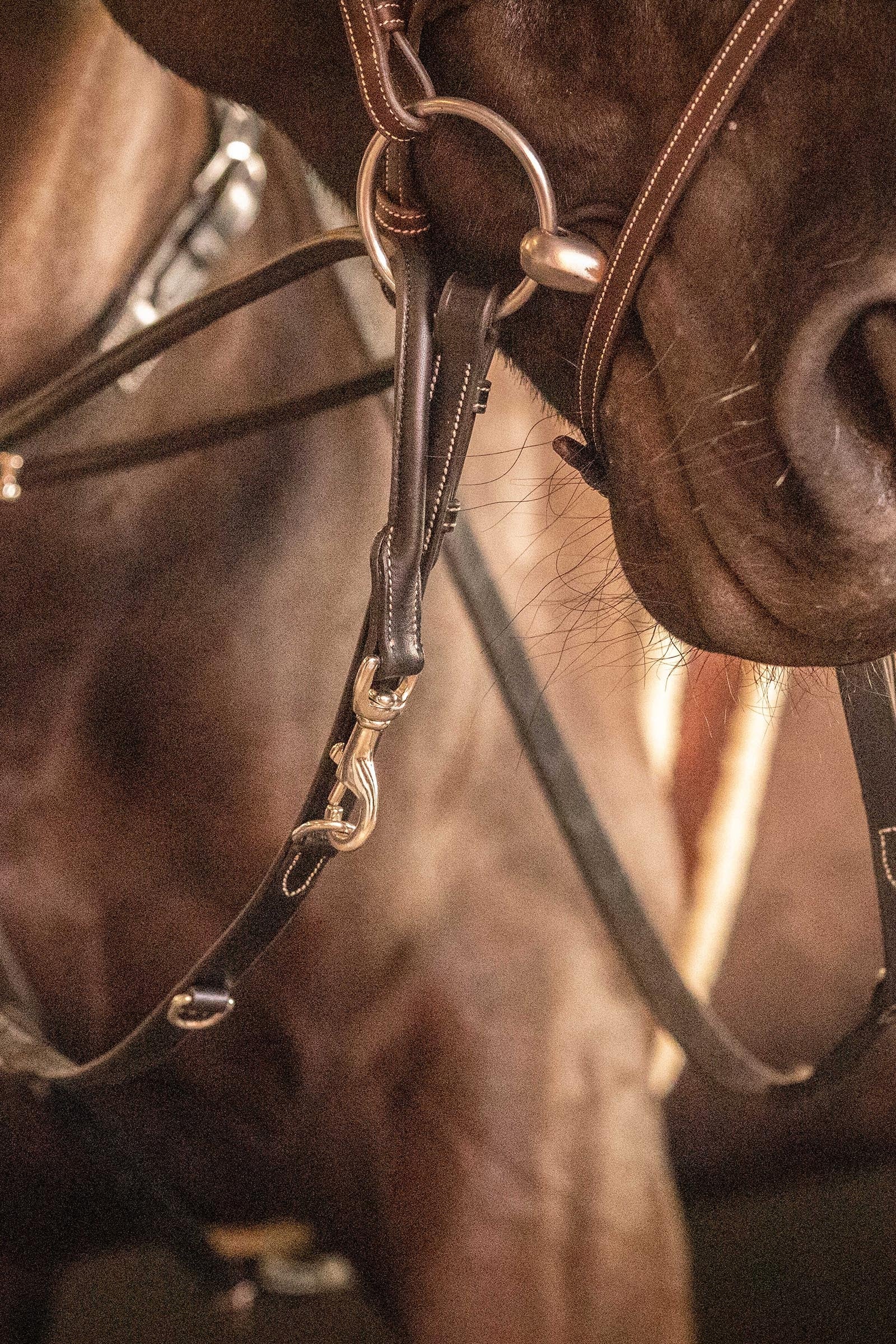 PENELOPE Howlett Reins Bridles & Reins