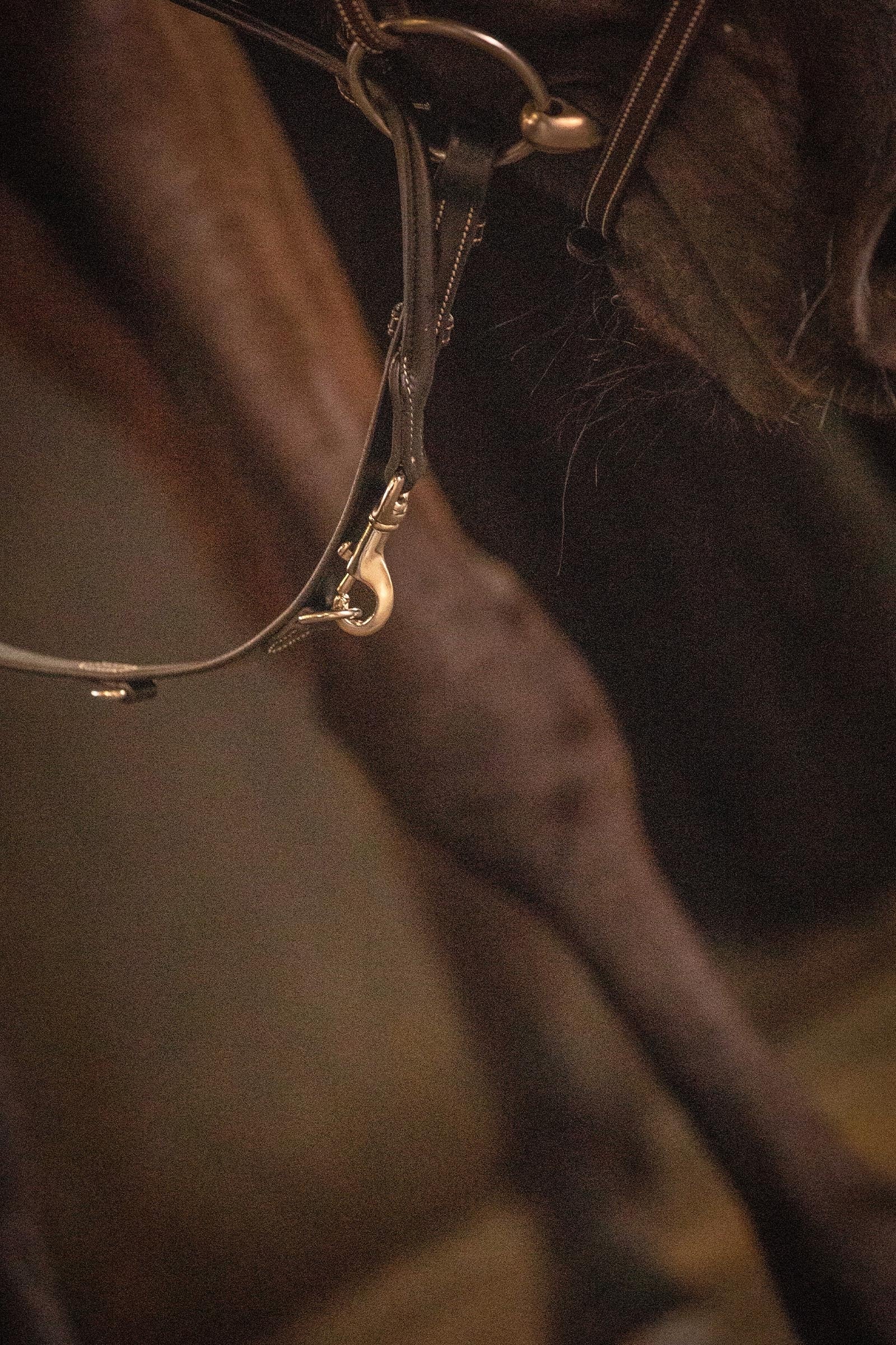 PENELOPE Howlett Reins Bridles & Reins