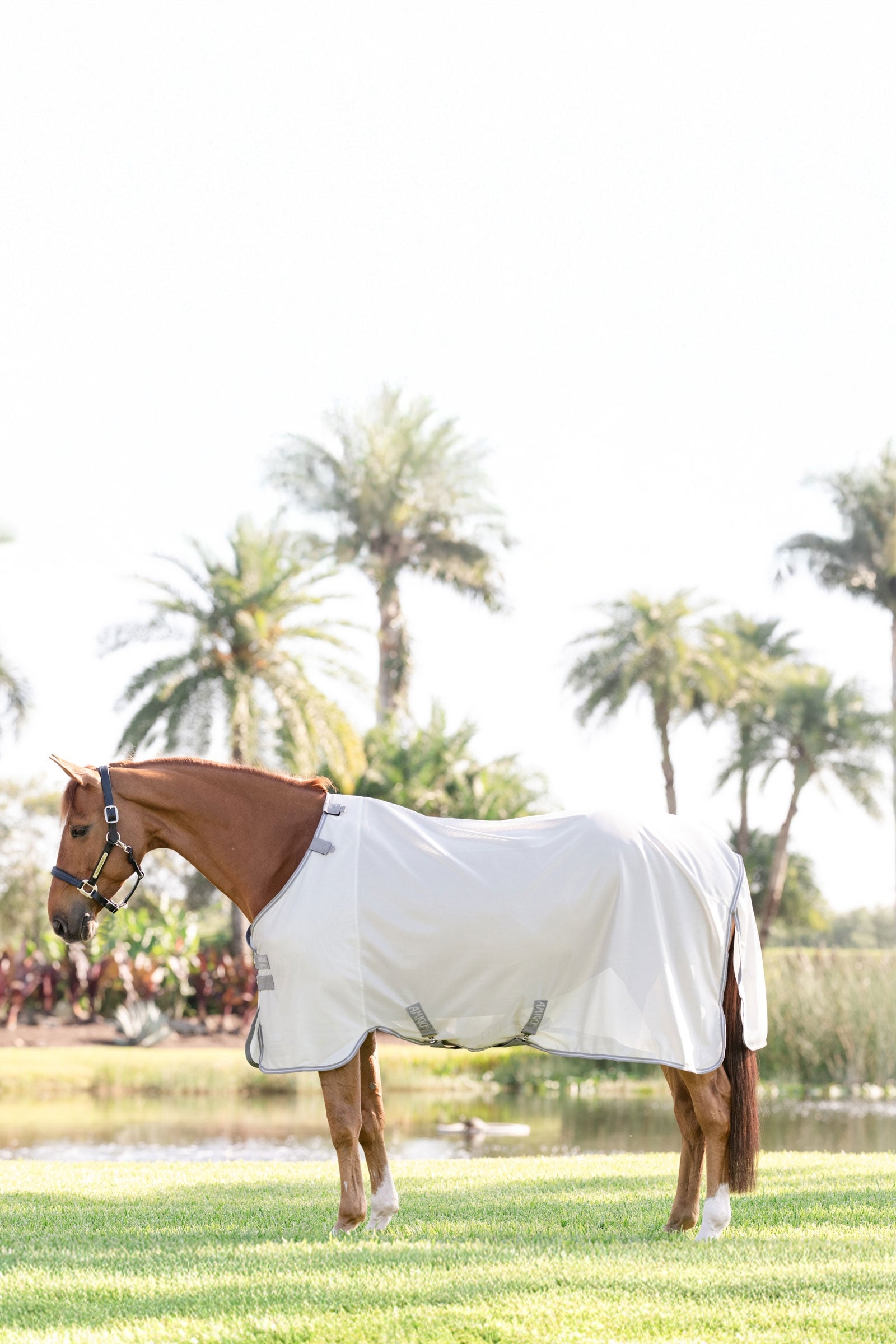 Horseware Amigo coperta antimosche con protezione UV Coperte per cavalli