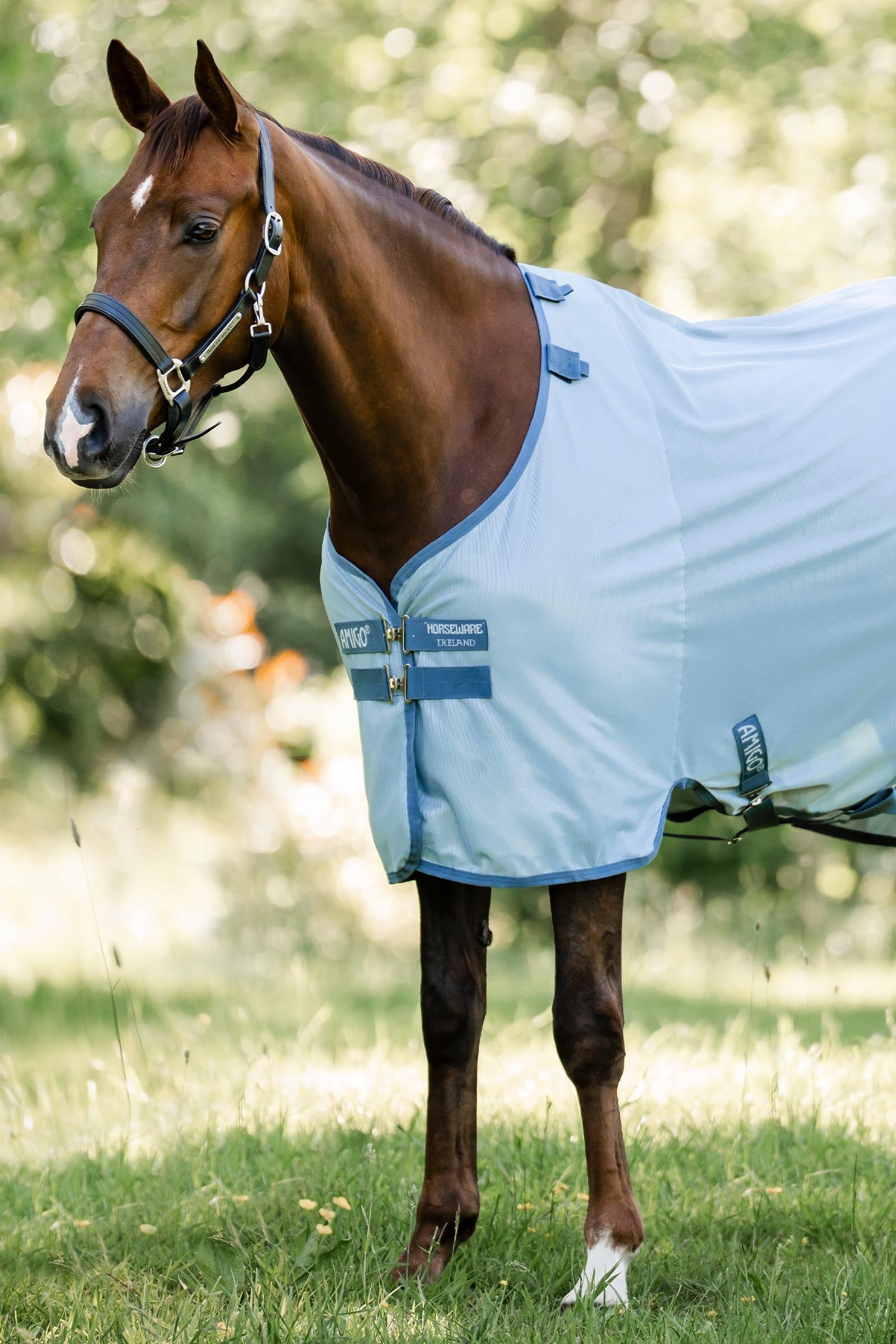 Horseware Amigo coperta antimosche con protezione UV Coperte per cavalli
