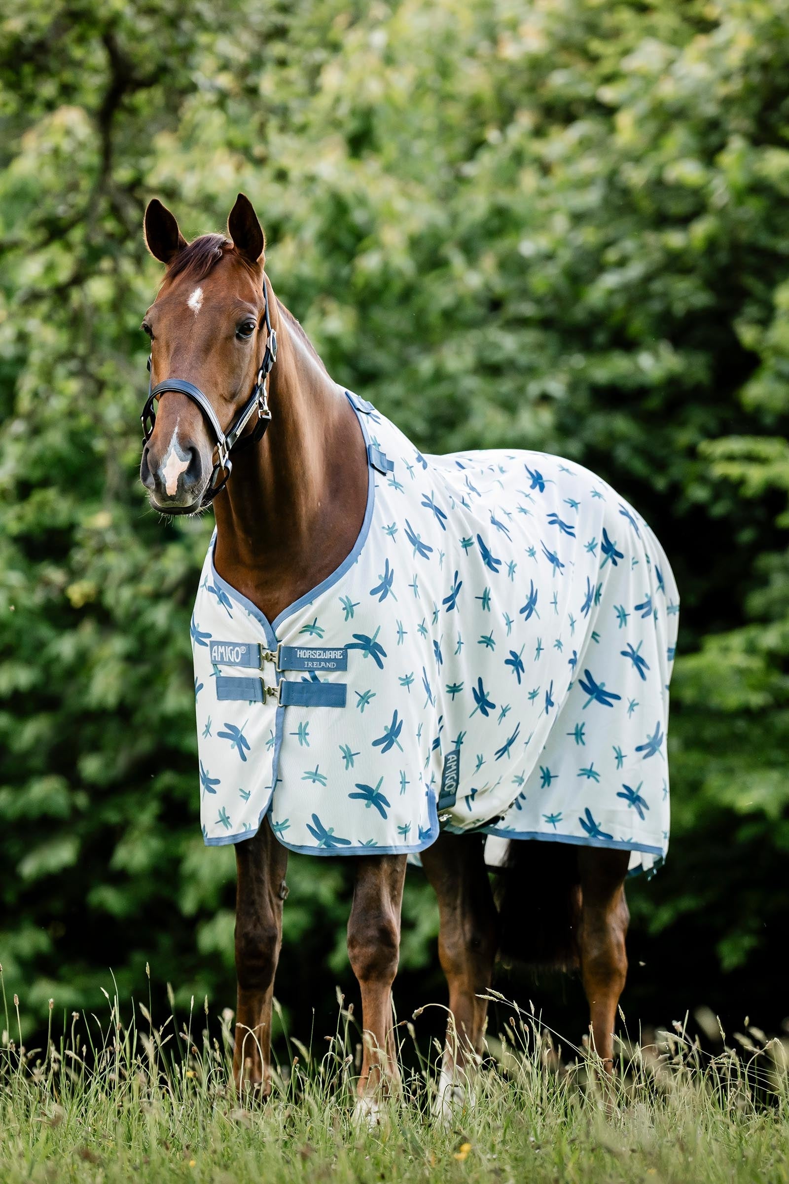 Horseware Amigo coperta antimosche con protezione UV Coperte per cavalli