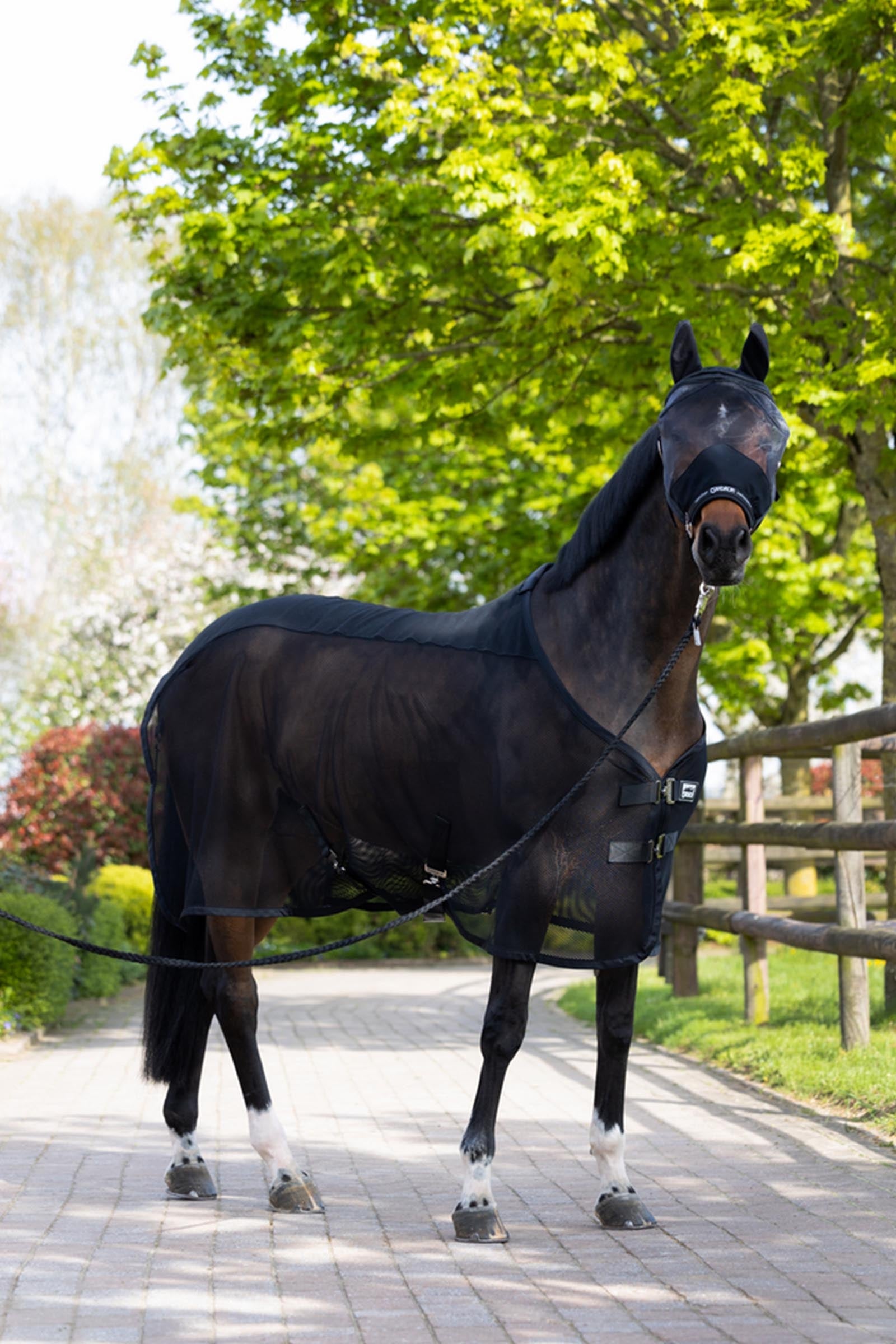 Eskadron FLY Halter Halters & Leads