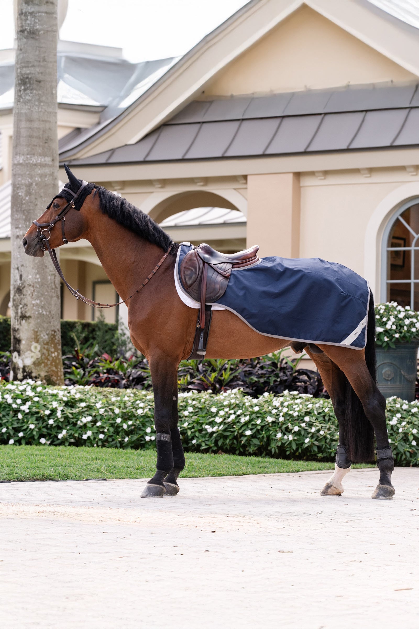 Horseware Amigo Ripstop coperta da lavoro Coperte per cavalli