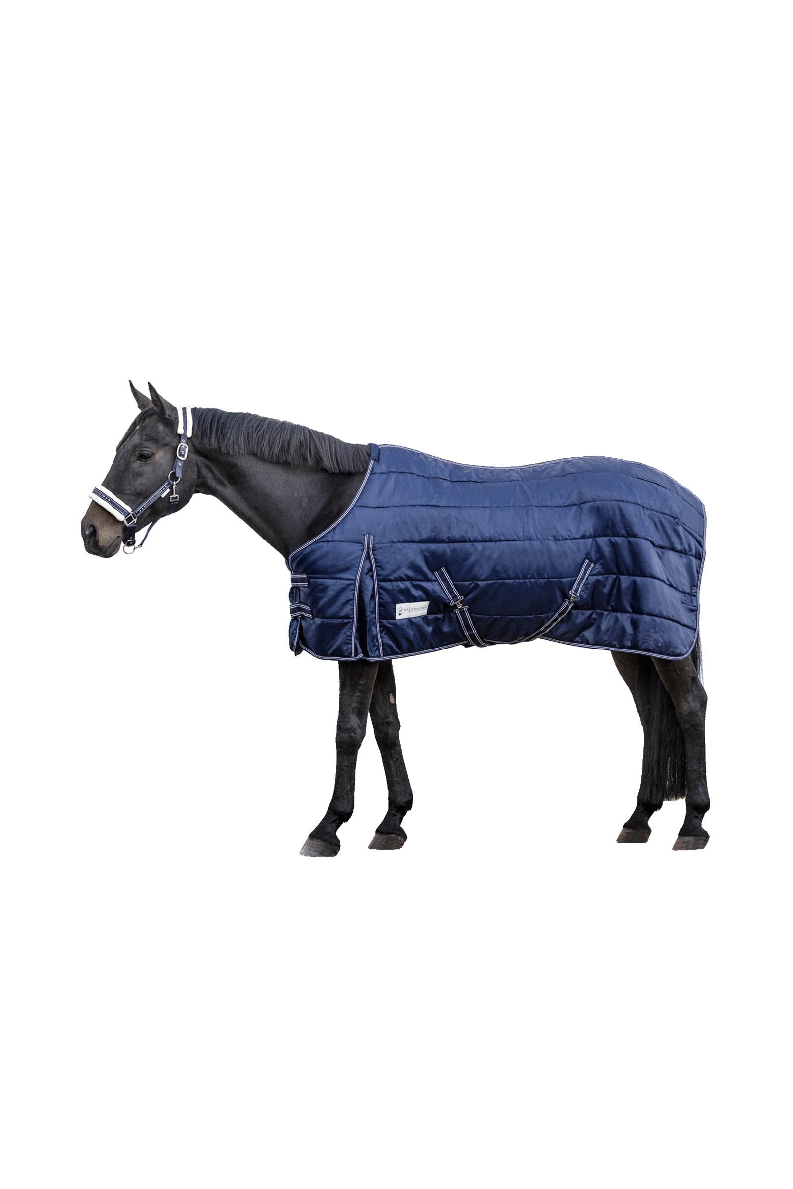 Waldhausen Stable Rug Economic 300 g Coperte per cavalli