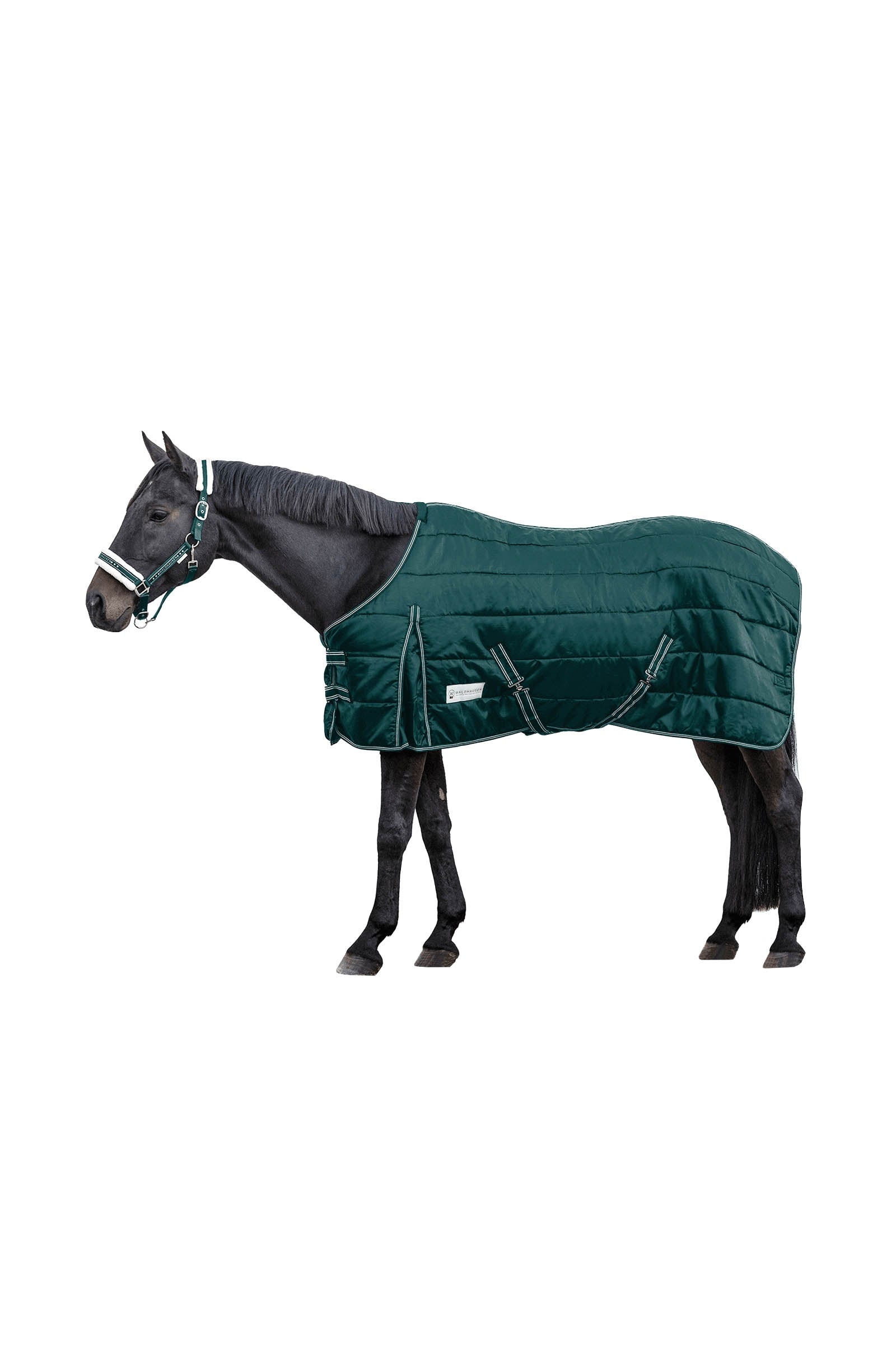 Waldhausen Stable Rug Economic 300 g Coperte per cavalli