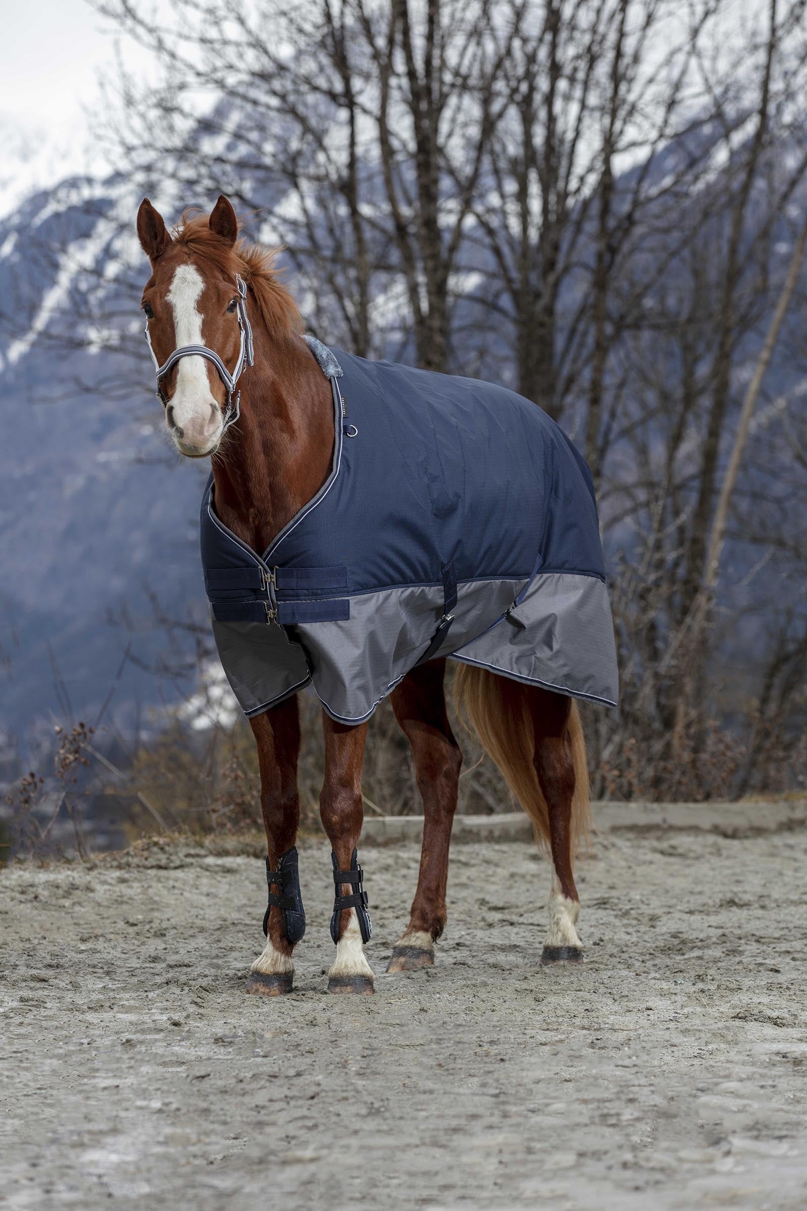Equi Theme EQUITHÈME TYREX 600D Turnout Rug, 450 g Horse Rugs