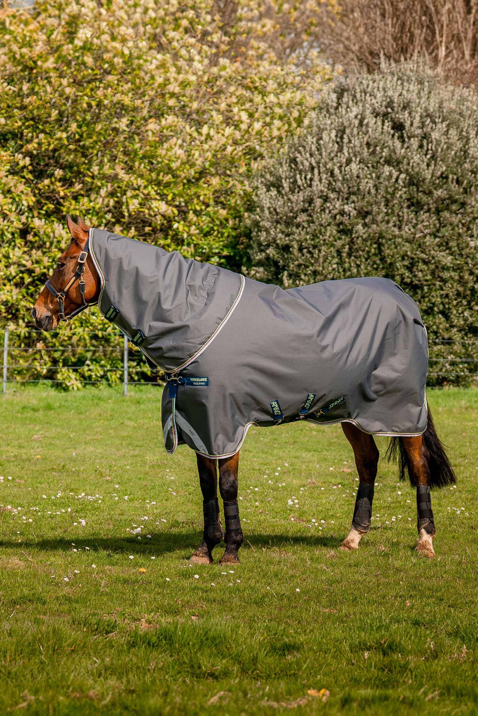 Horseware Amigo Bravo 12 Plus coperta da turnout, 250 g Coperte per cavalli