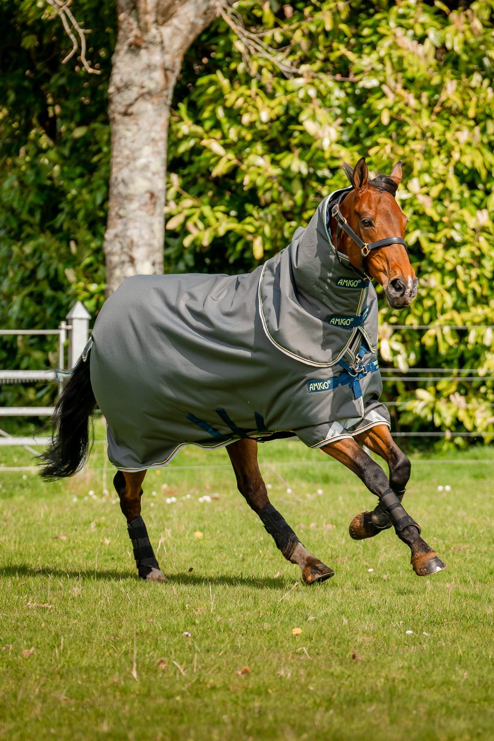 Horseware Amigo Bravo 12 Plus Turnout Rug, 250 g Horse Rugs