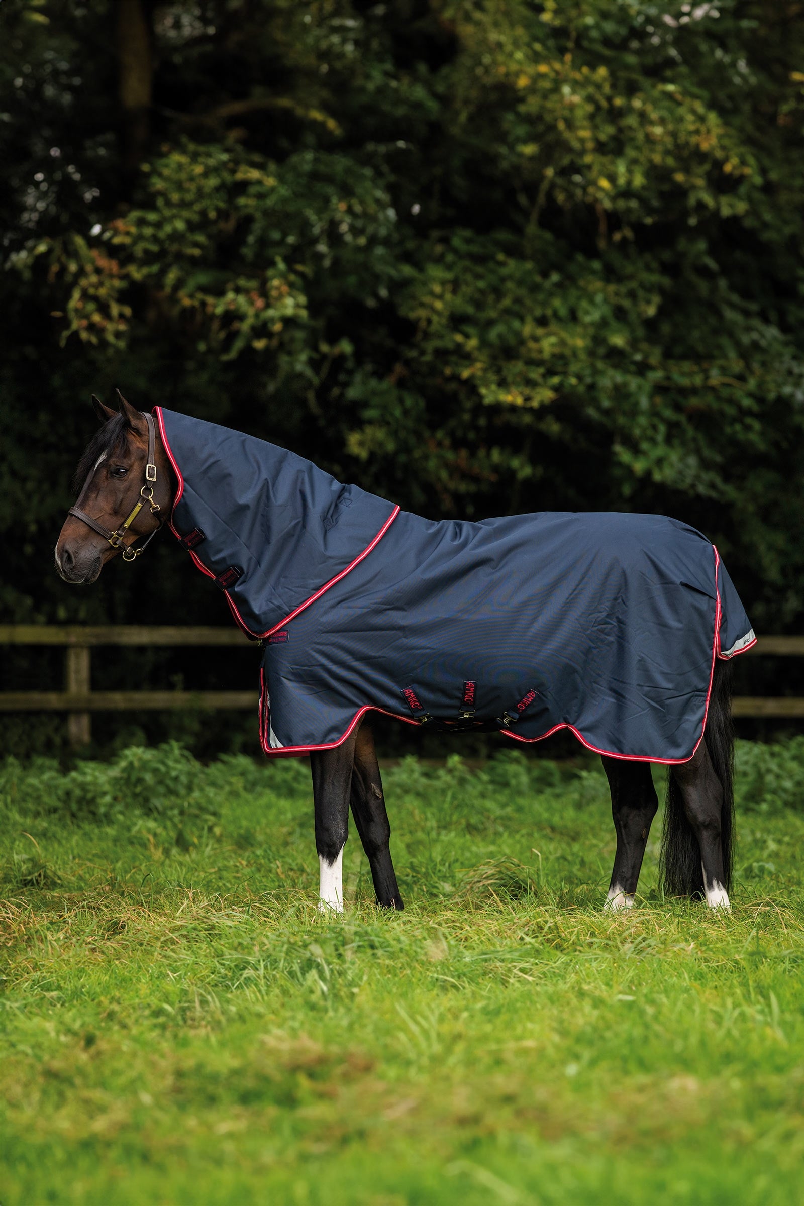 Horseware Amigo Bravo 12 Plus coperta da turnout, 250 g Coperte per cavalli