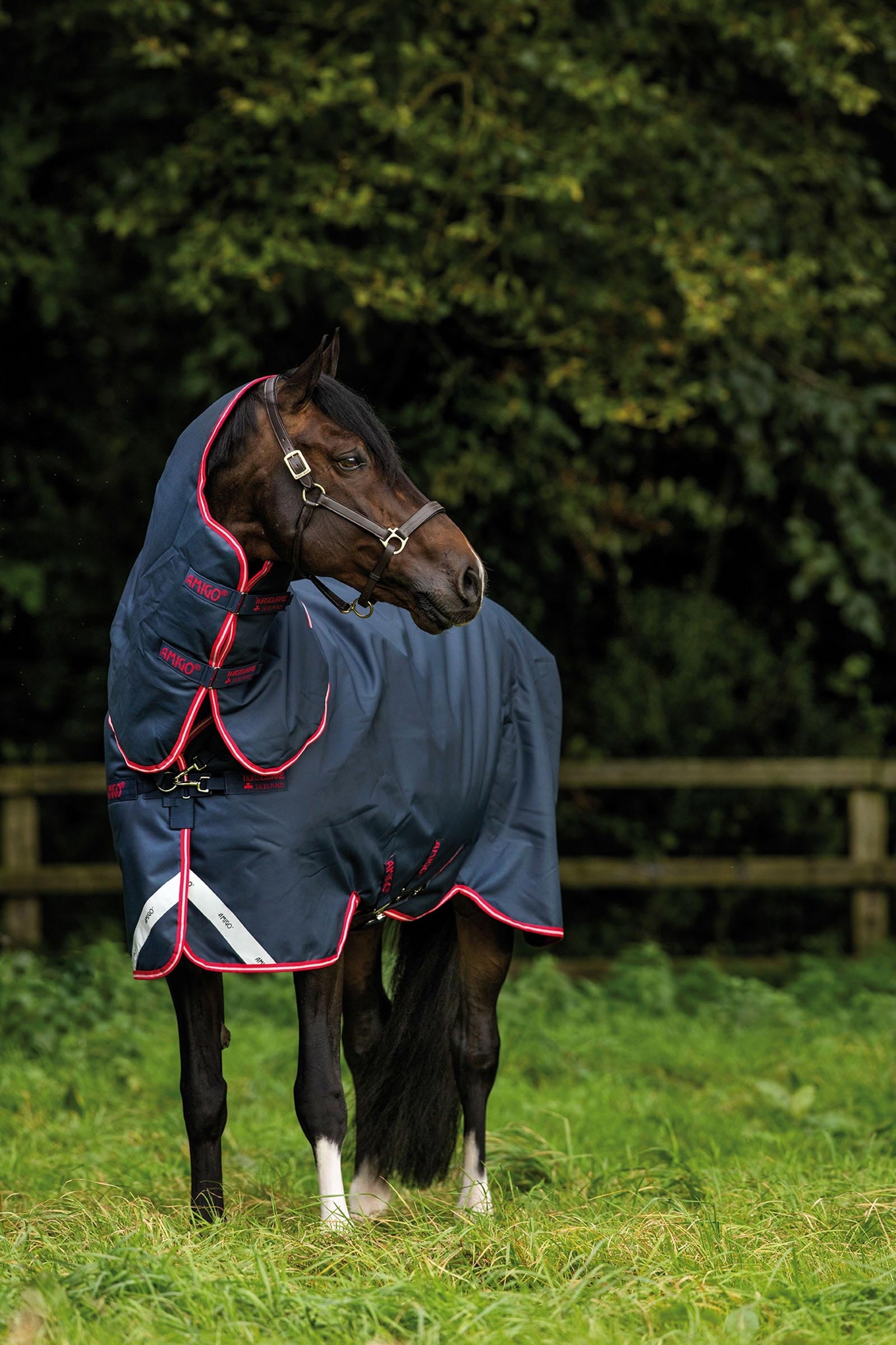 Horseware Amigo Bravo 12 Plus Turnout Rug, 250 g Horse Rugs