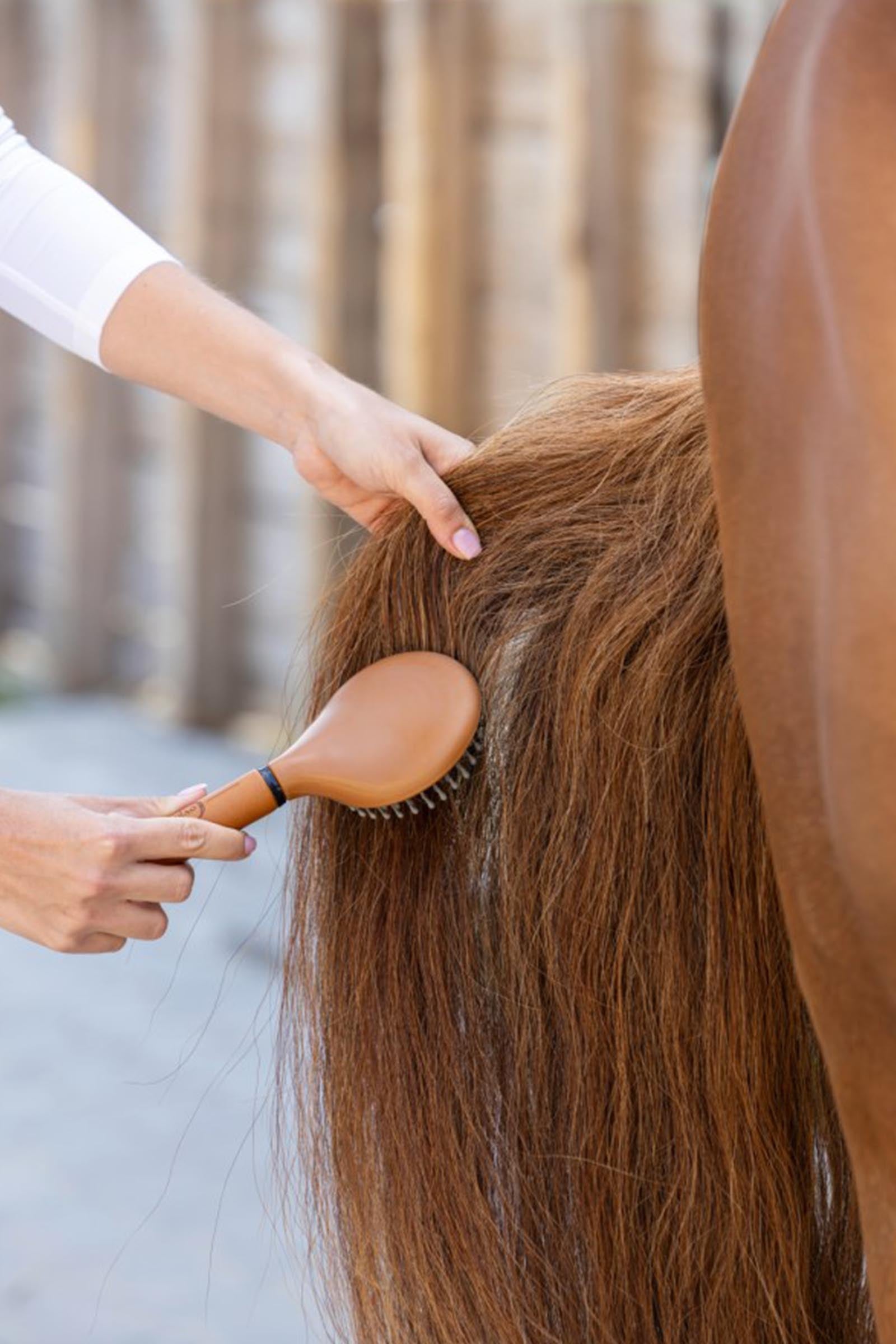 Covalliero Deluxe Mane Brush Horse Grooming Tools