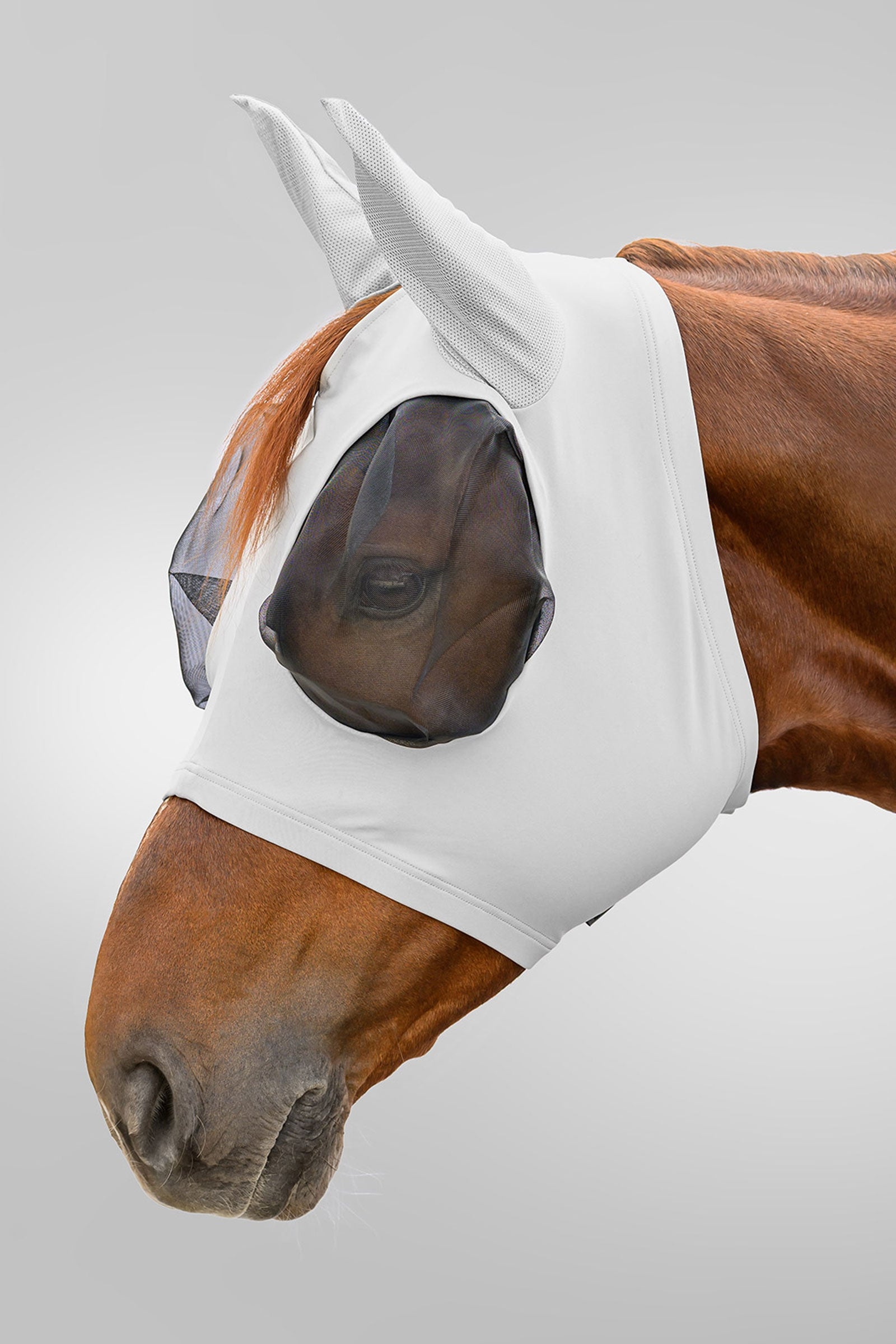 Waldhausen Flex Puck maschera antimosche con protezione UV Protezione antimosche per cavalli