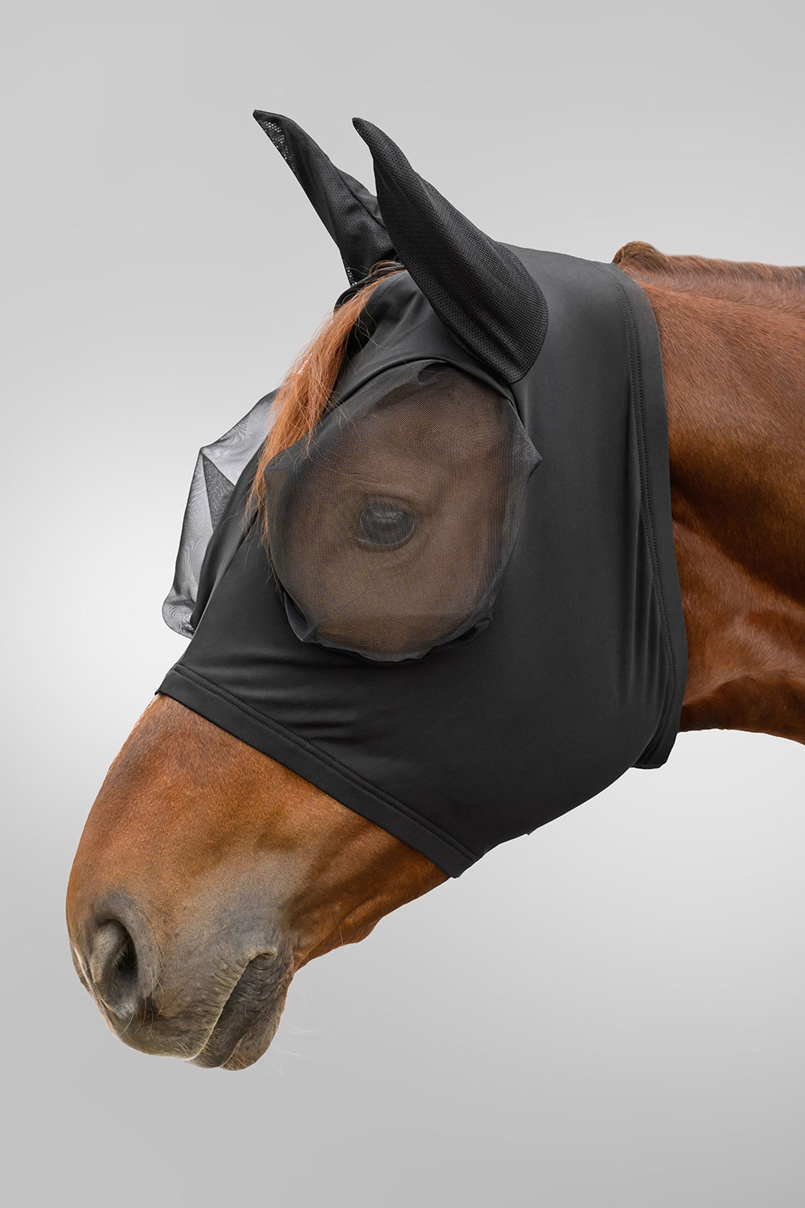 Waldhausen Flex Puck maschera antimosche con protezione UV Protezione antimosche per cavalli