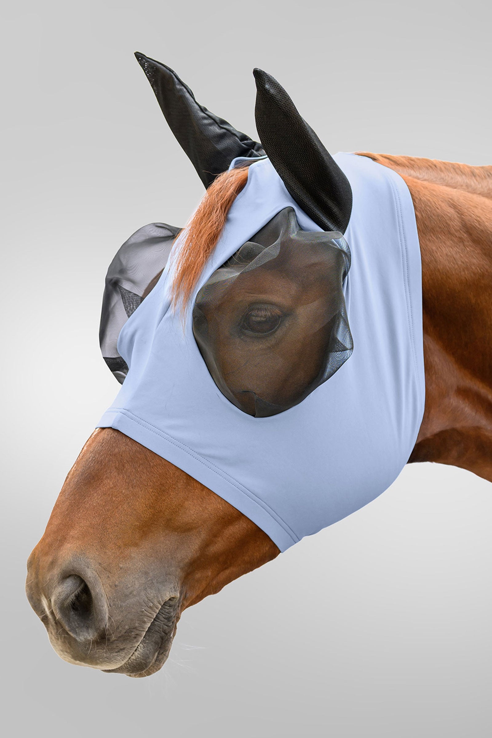 Waldhausen Flex Puck maschera antimosche con protezione UV Protezione antimosche per cavalli