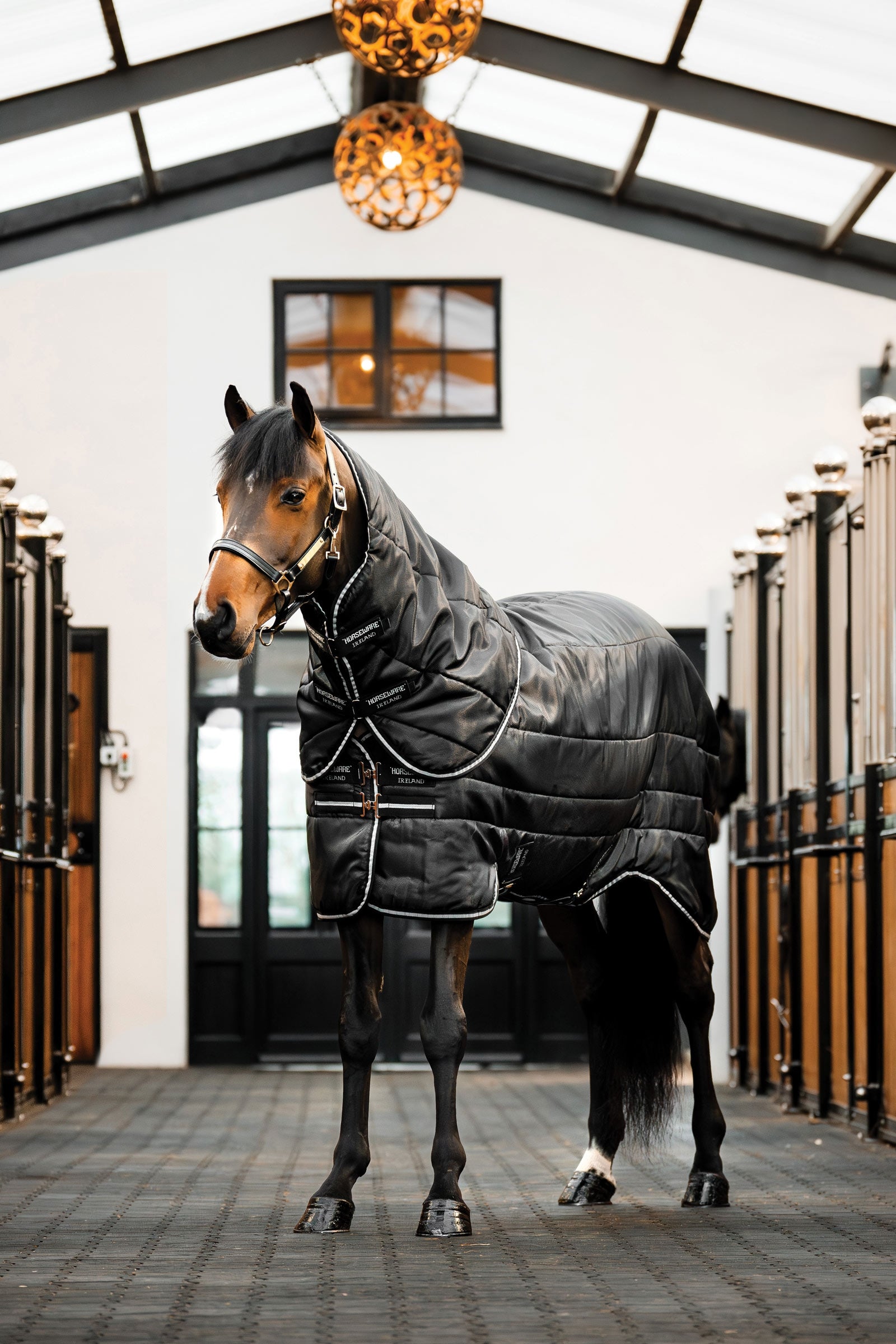 Horseware Easy-Layer Plus Coperta da stalla, 200g Coperte per cavalli