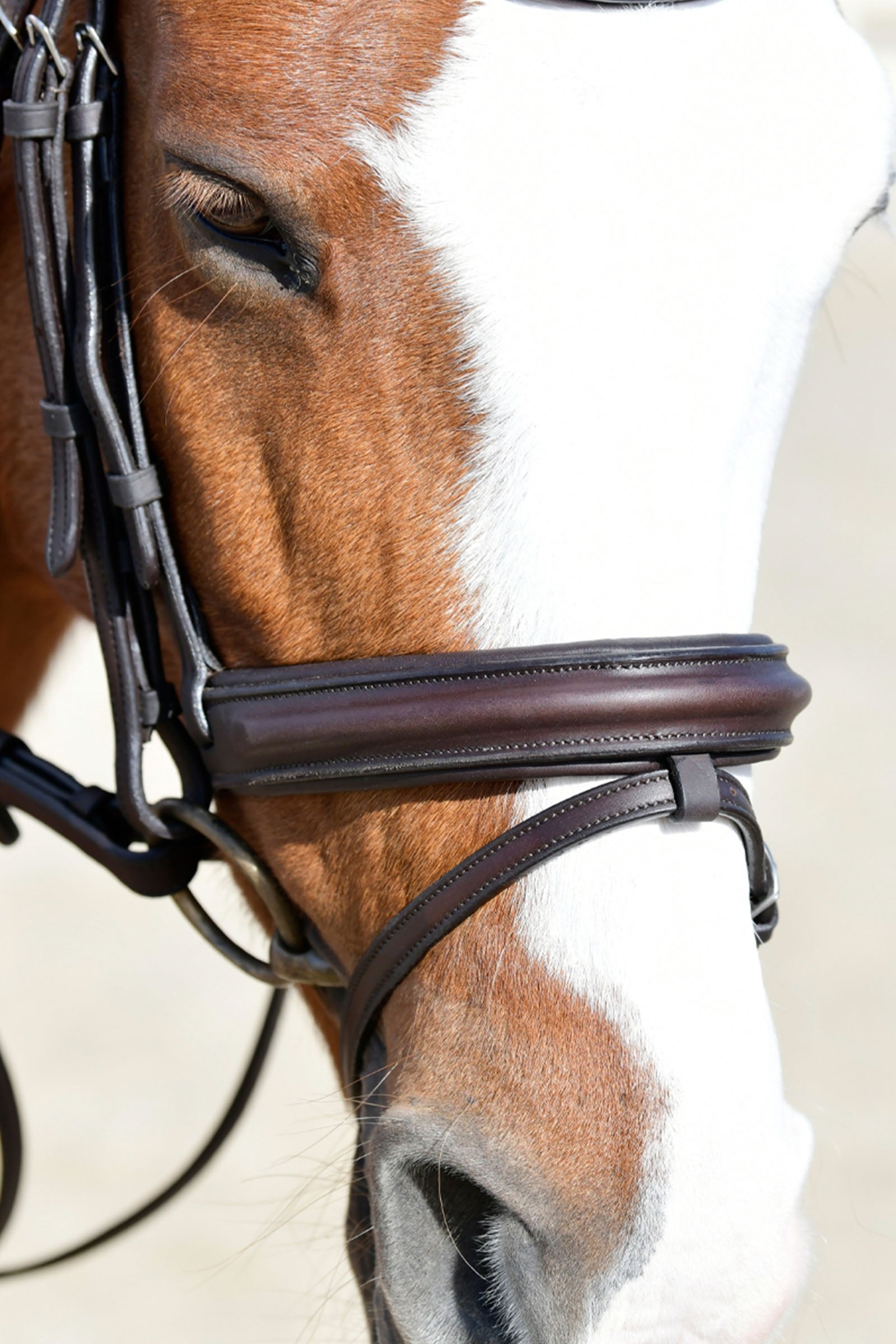 Collegiate Comfitec Opulux Plain Padded Hanoverian Flash Bridle Bridles & Reins