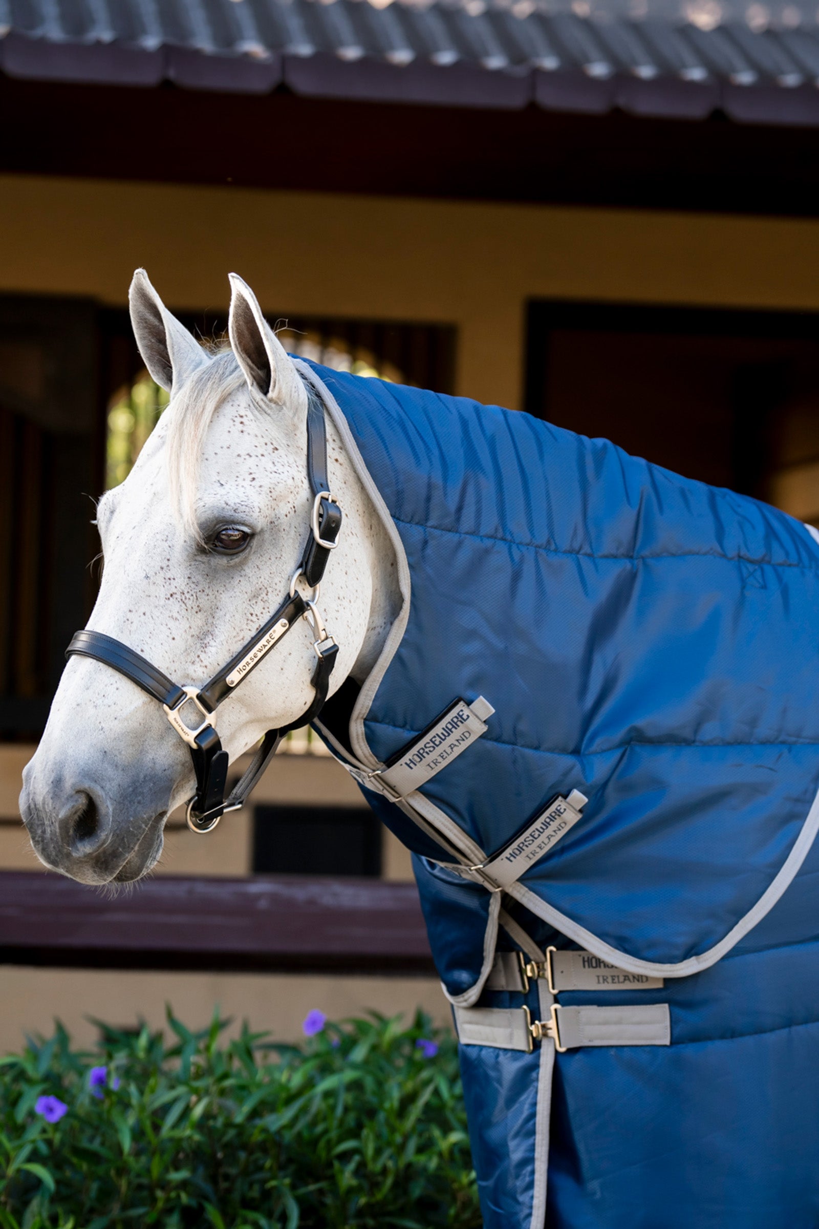 Horseware Amigo Ripstop Insulator cappuccio stalla, 100 g Coperte per cavalli
