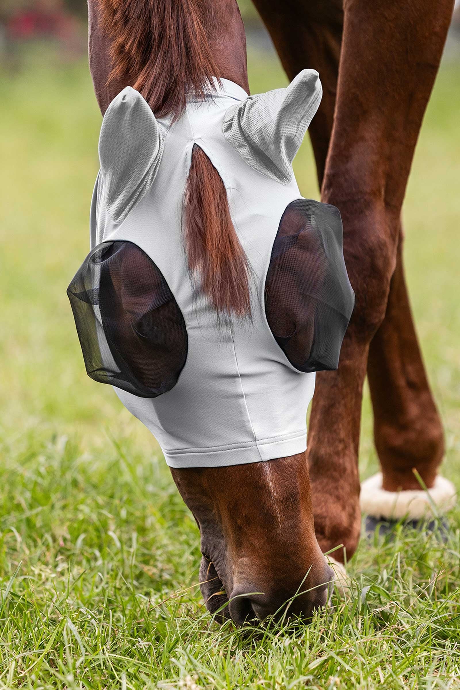 Waldhausen Puck Fly Mask With Zip Antifly Protection for Horses