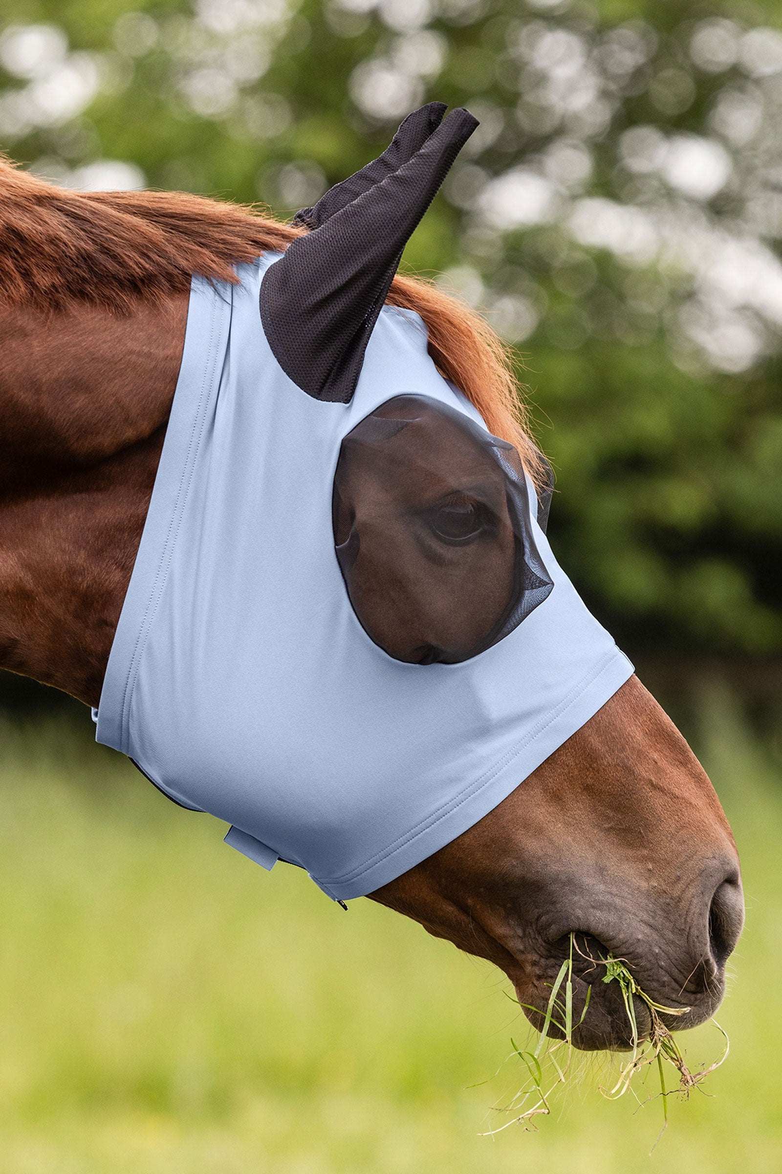 Waldhausen Puck maschera antimosche con zip e protezione UV Protezione antimosche per cavalli