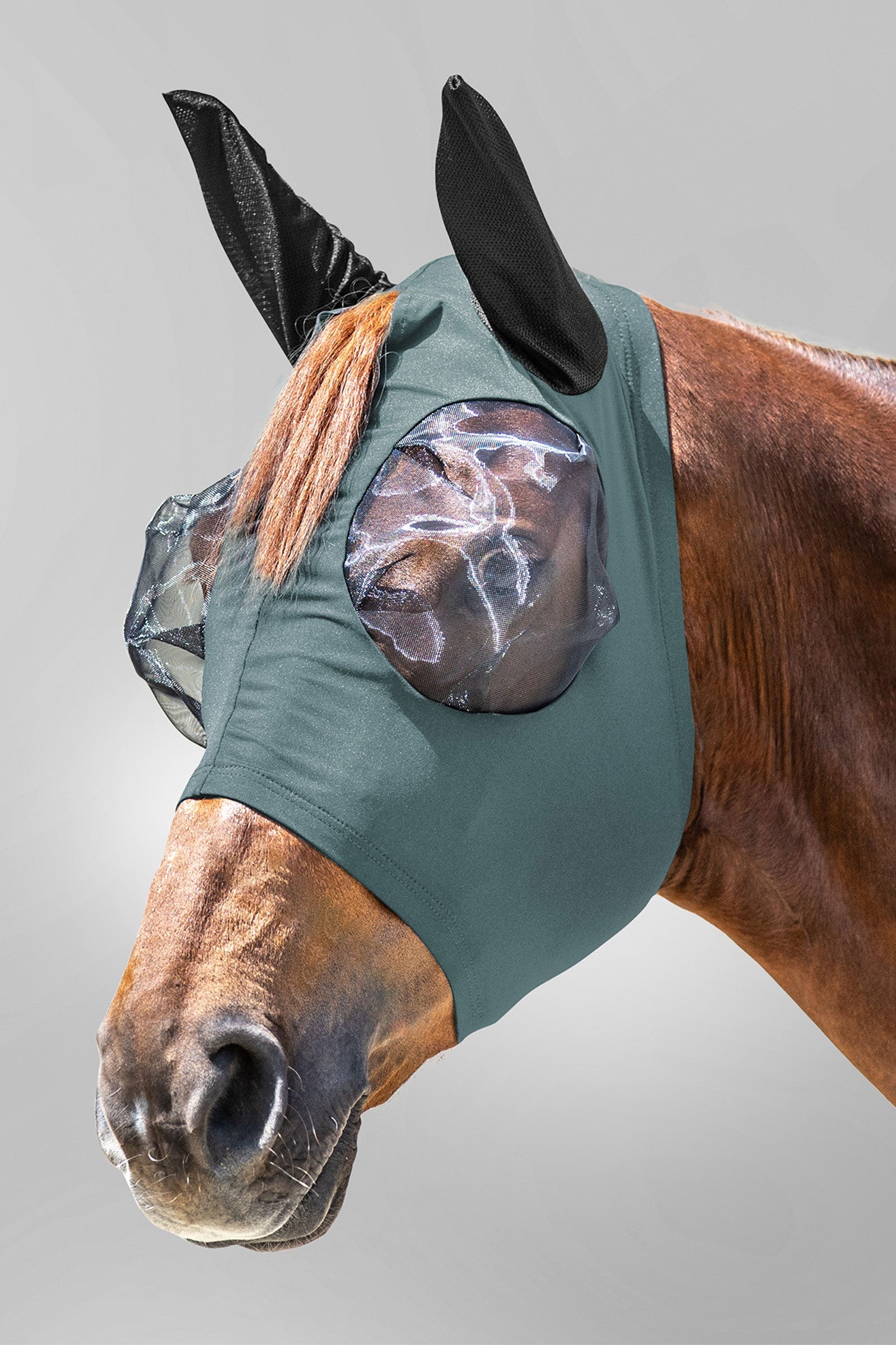 Waldhausen Puck maschera antimosche con zip e protezione UV Protezione antimosche per cavalli