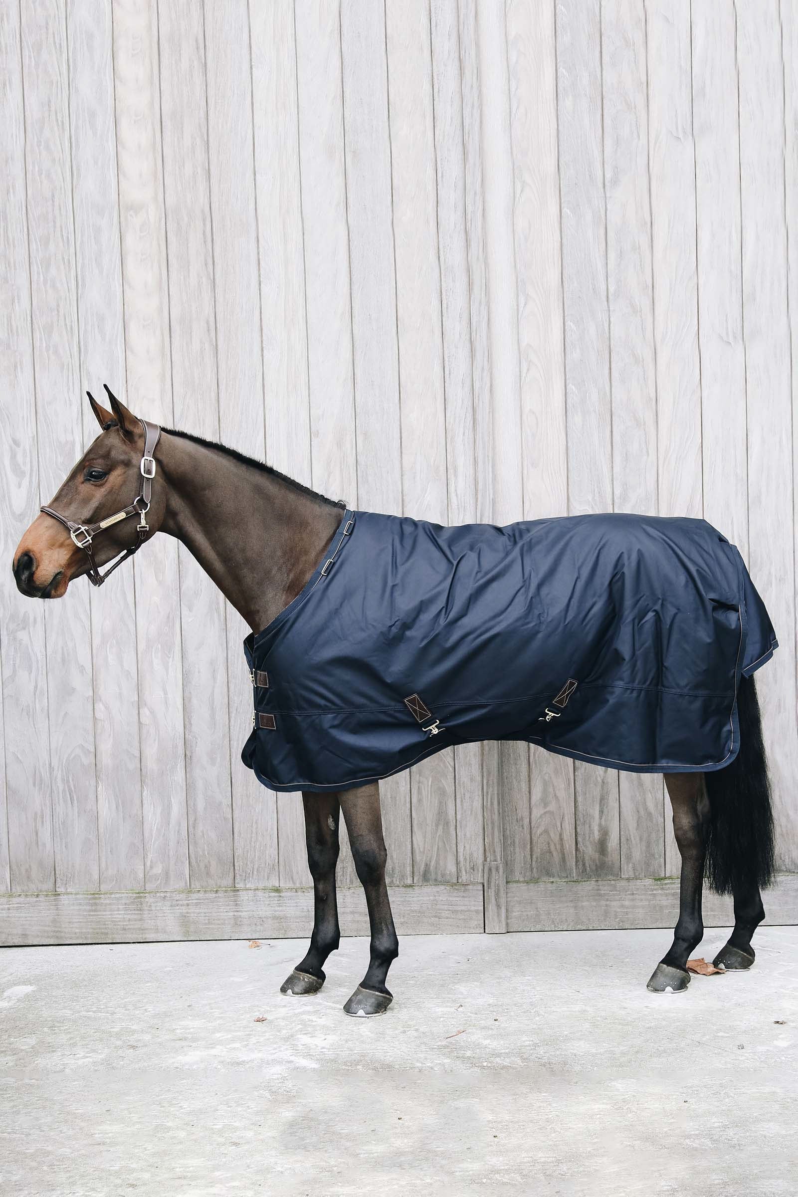 Kentucky Horsewear Coperta da turnout All Weather Waterproof Pro, 0 gr Coperte per cavalli