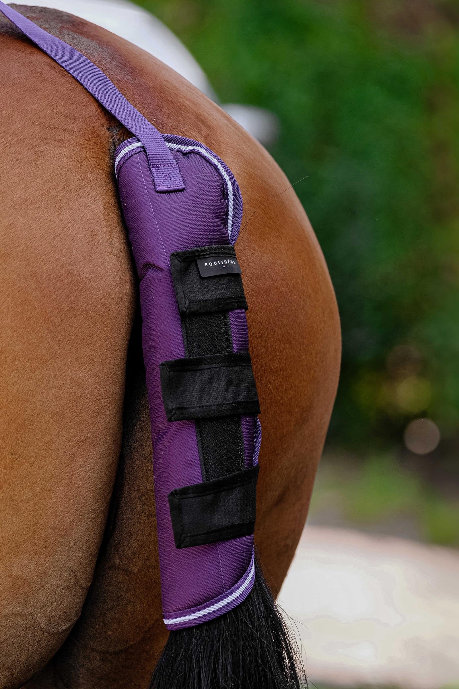 EQUITHÈME TYREX 600D protezione coda Plume Leg & Hoof Protection