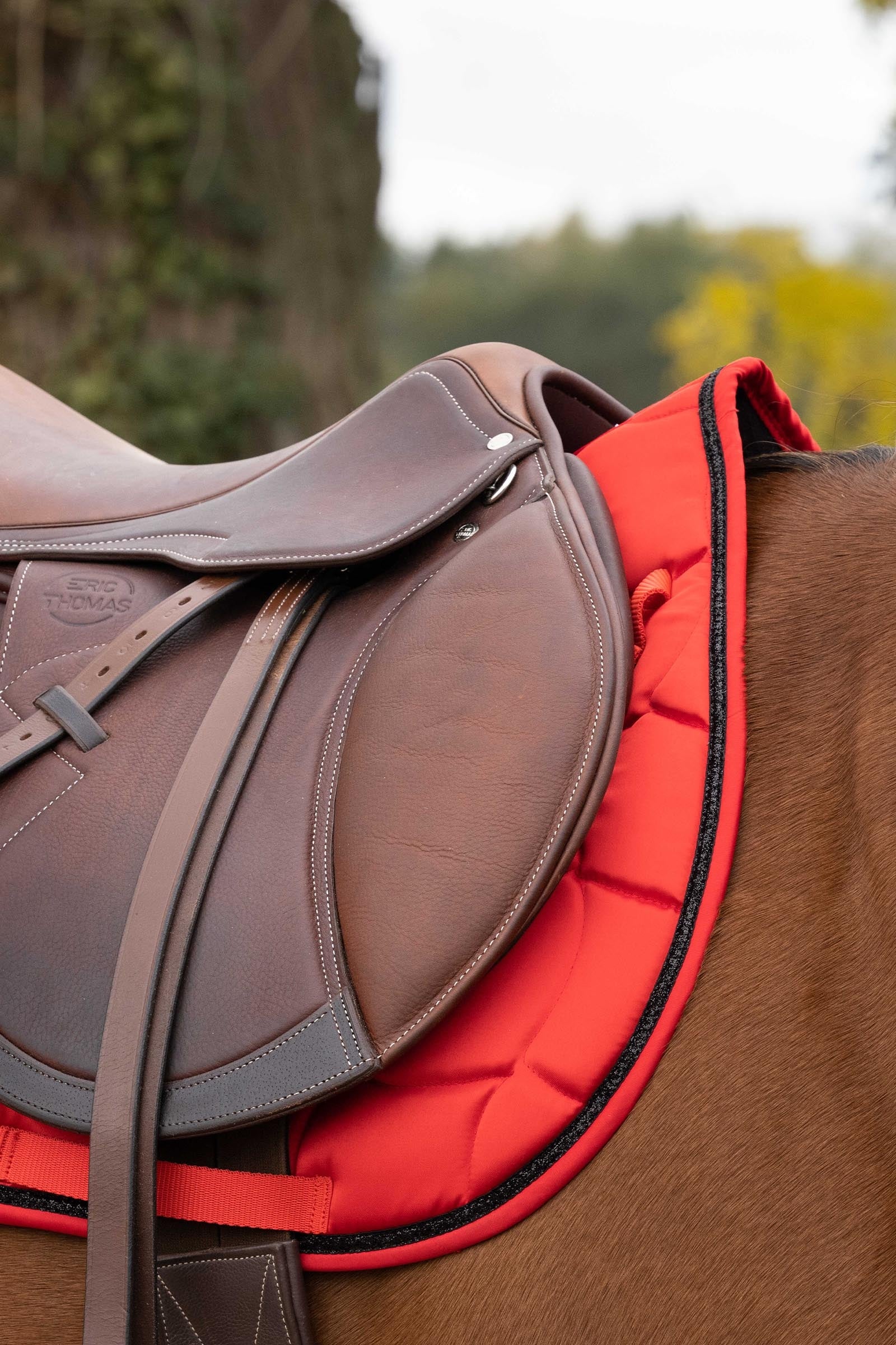 EQUITHÈME Satin All Purpose Saddle Pad Saddle Pads