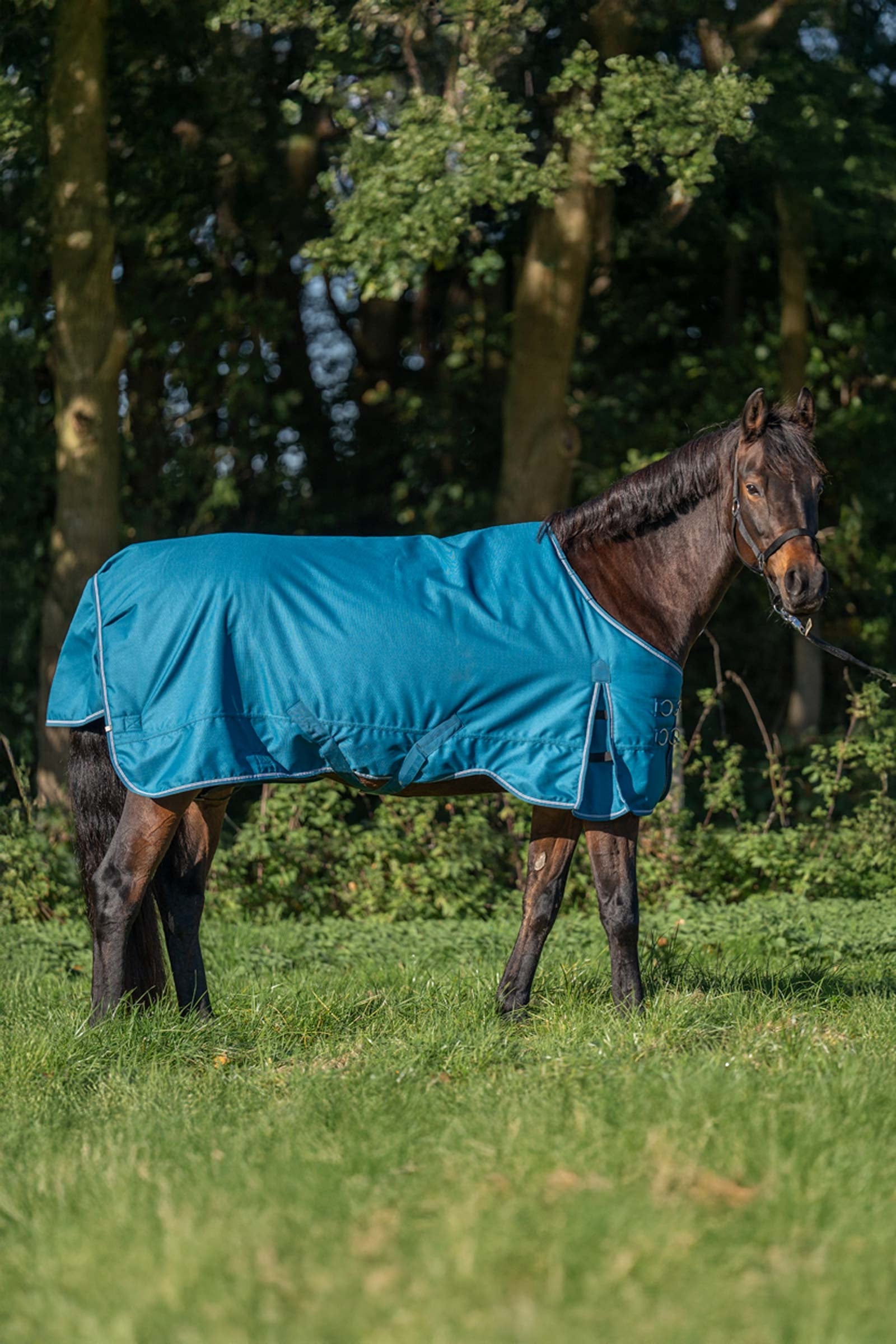Kavalkade Alaska IV Tappeto da Turnout, 100 g Coperte per cavalli
