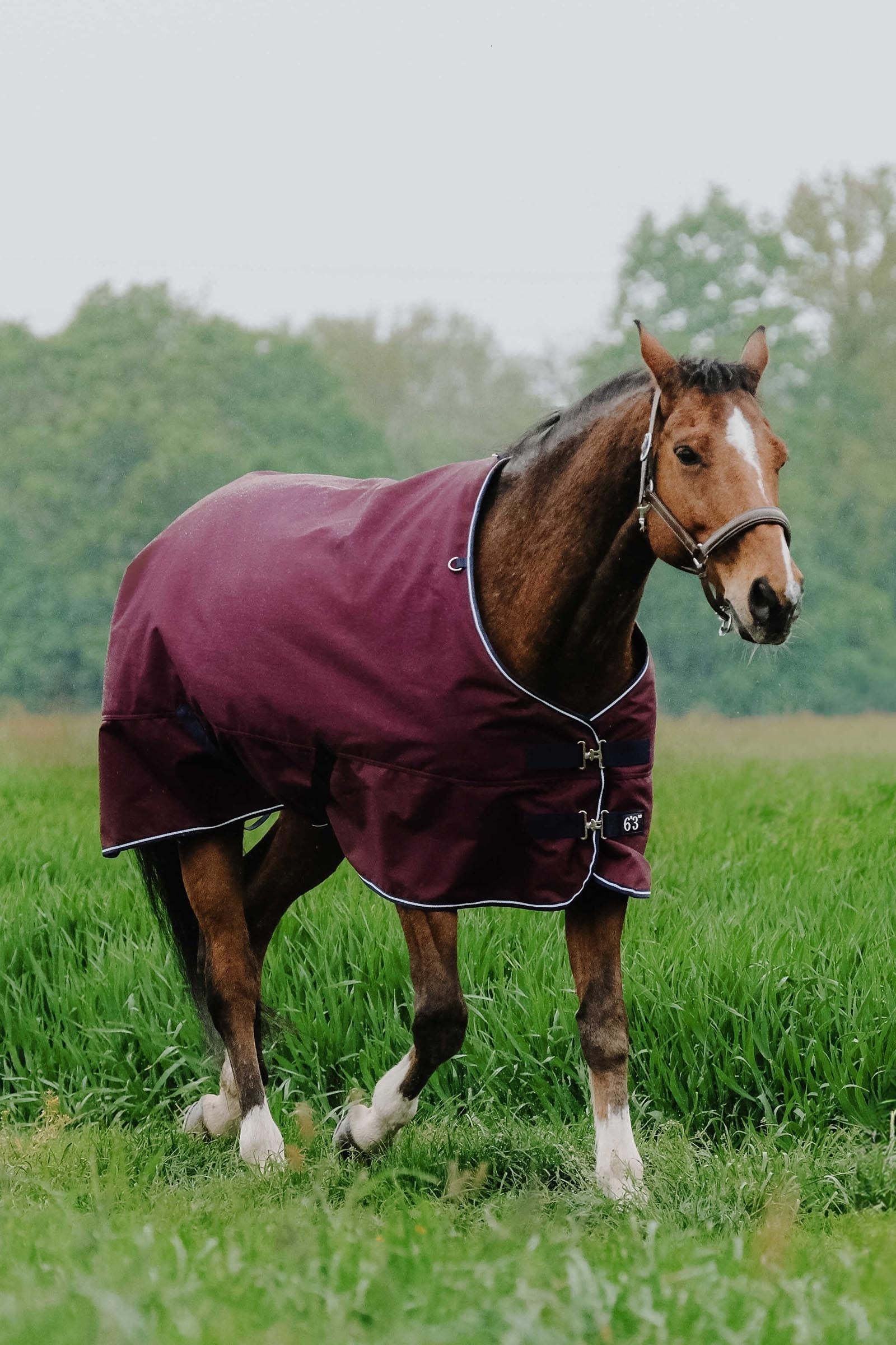 Equi Theme EQUITHÈME TYREX 1200D Turnout Rug, 50 g Horse Rugs