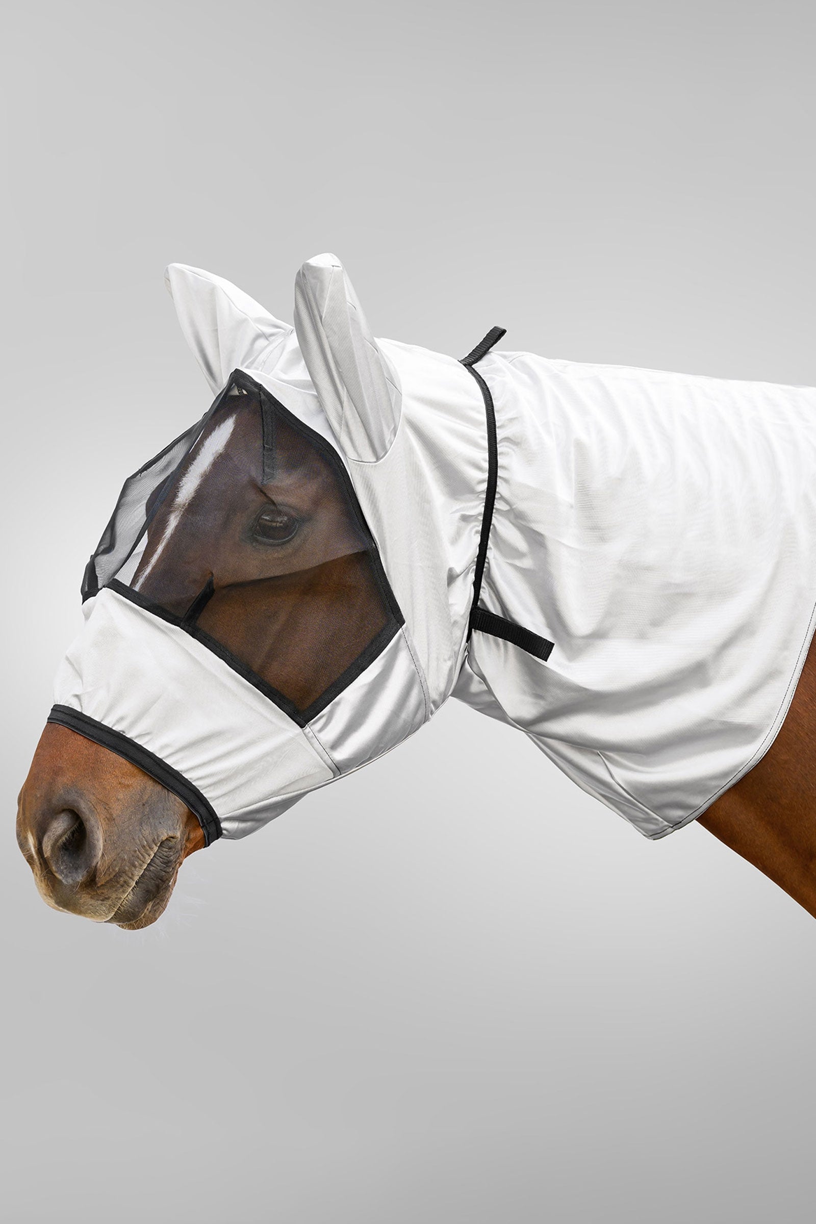 Waldhausen maschera antimosche eczema con protezione UV Protezione antimosche per cavalli