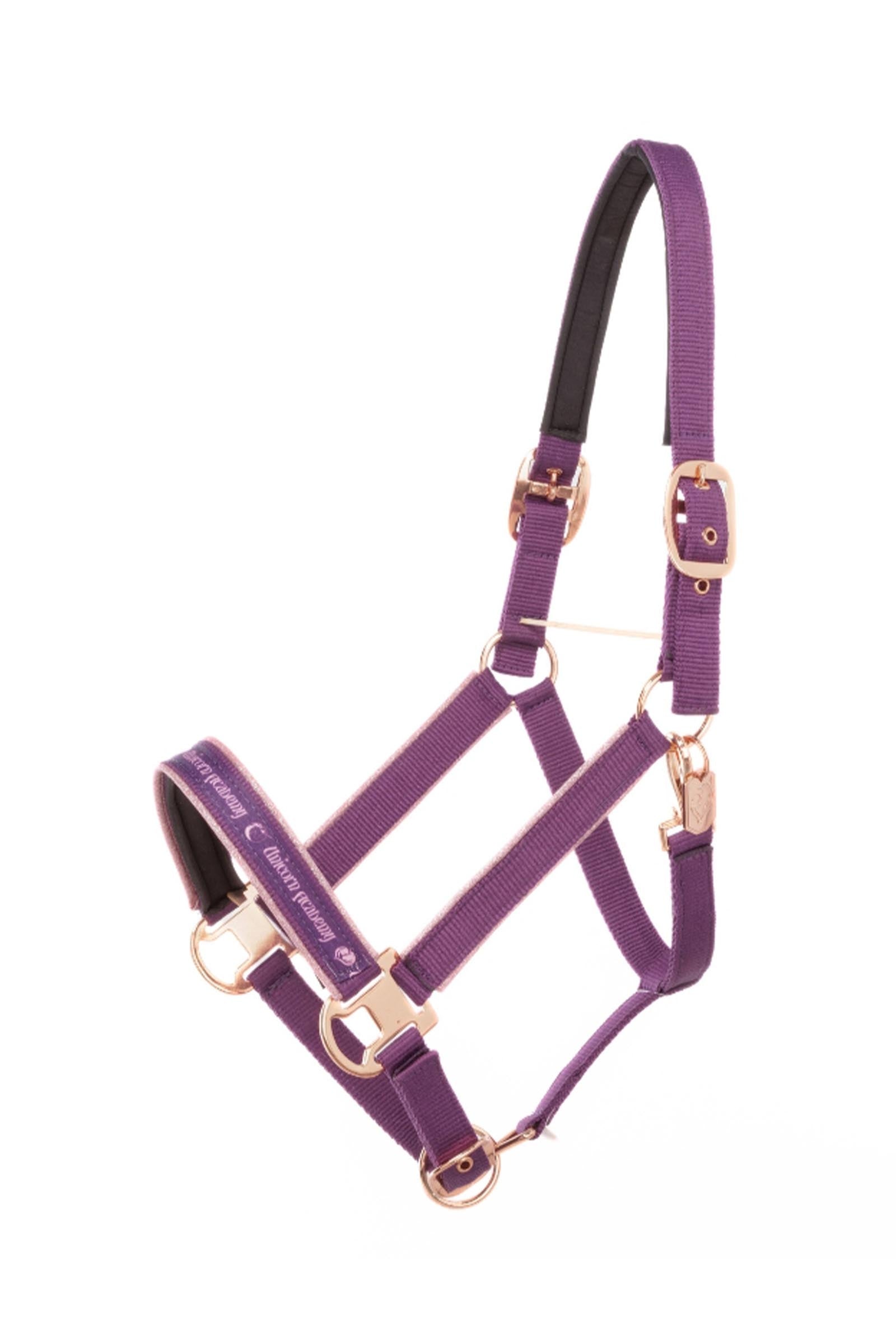 Kavalkade Unicorn Academy capezza con glitter Cavezze e guinsagli