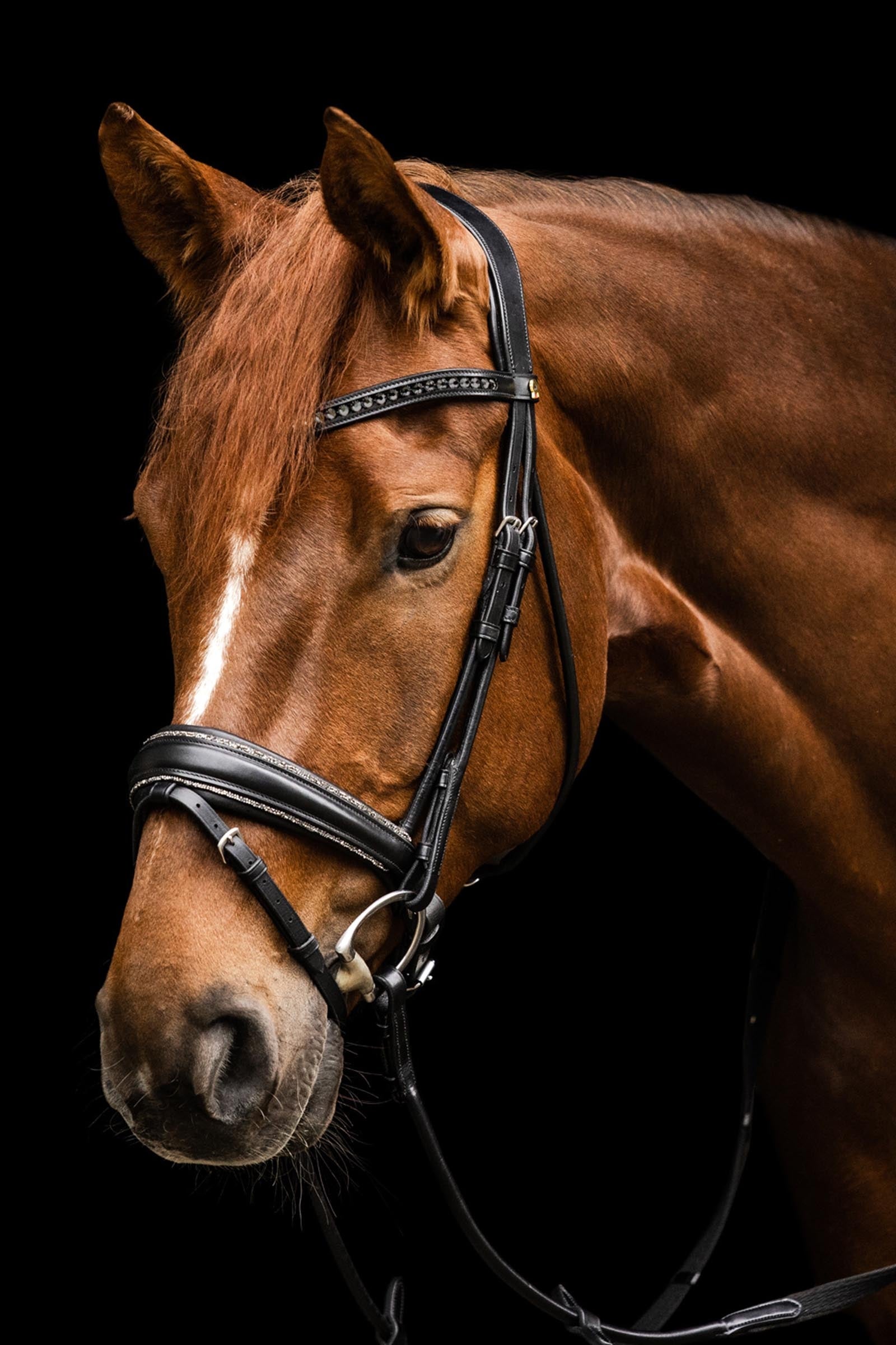 Waldhausen S-Line Glamour Bridle Bridles & Reins