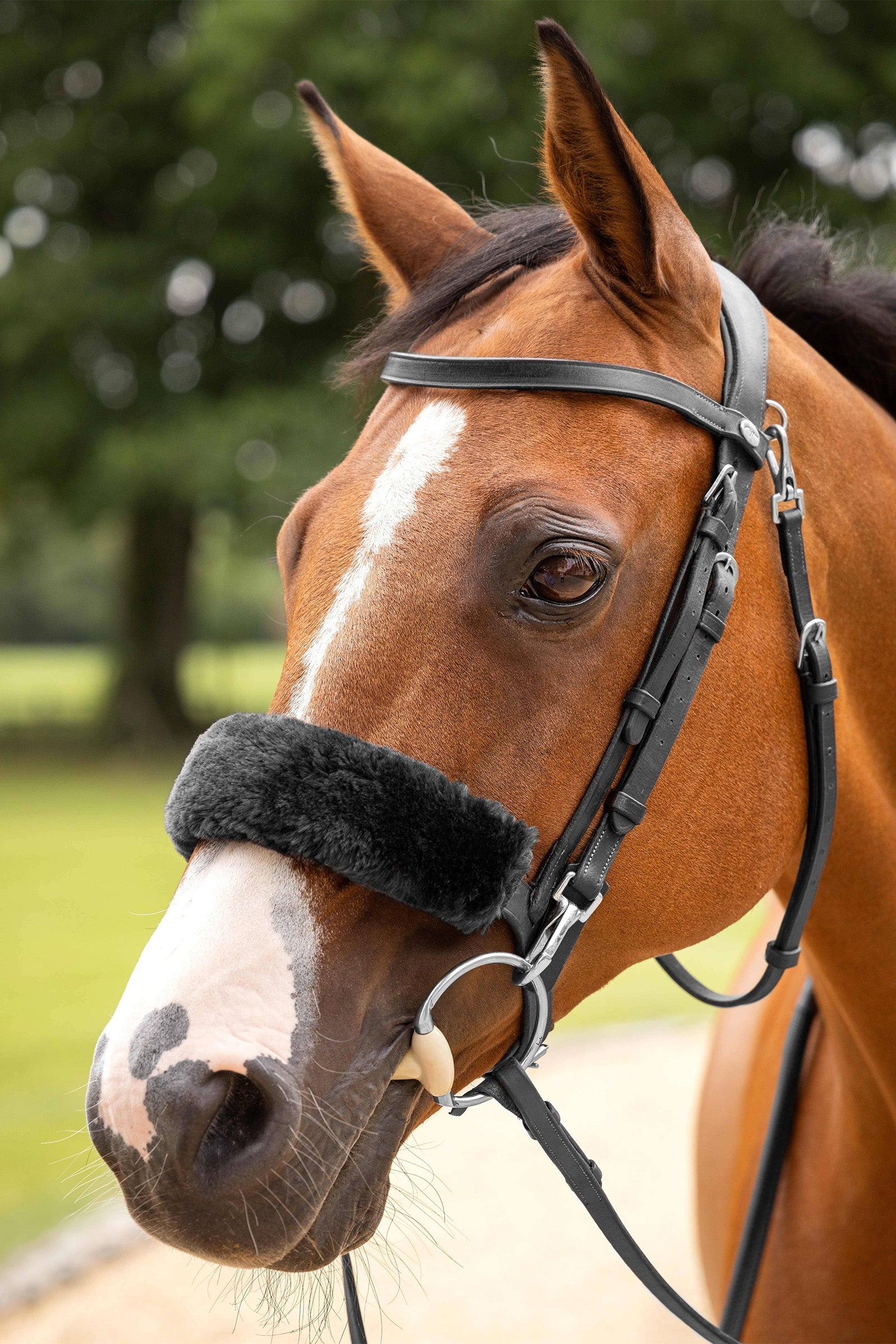 LeMieux Simuwool Noseband Cover Bridles & Reins