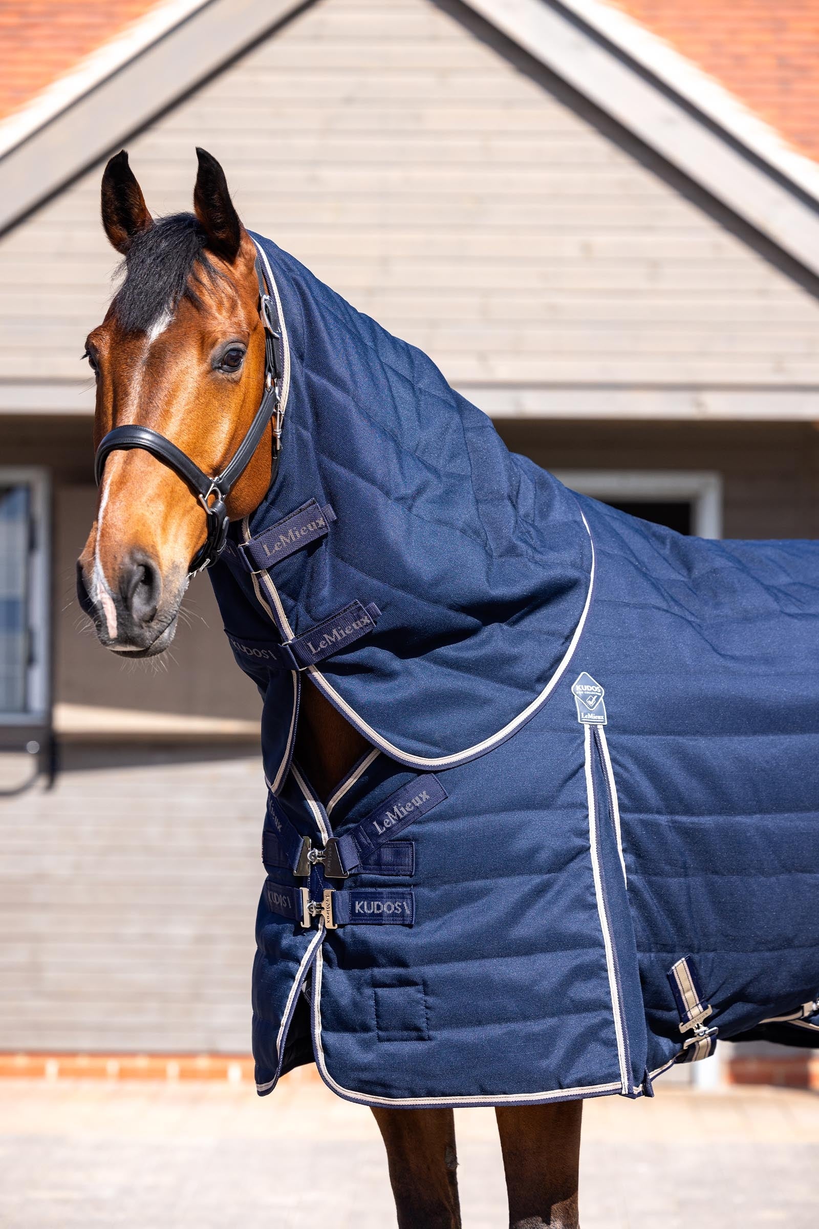 LeMieux Kudos Stable Neck Cover 50g Horse Rugs