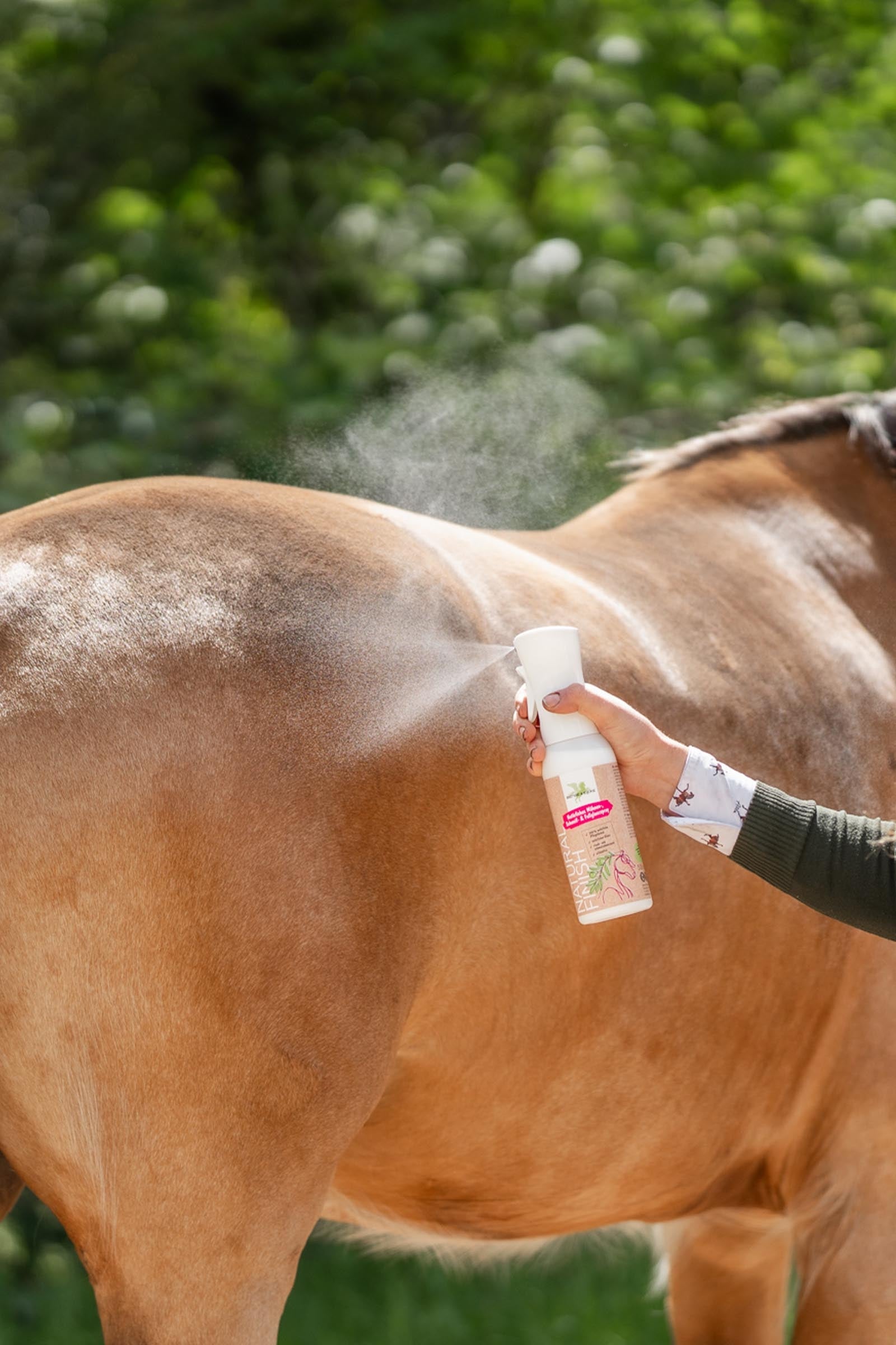 Bense & Eicke Natural Finish, 500ml Horse Health Care
