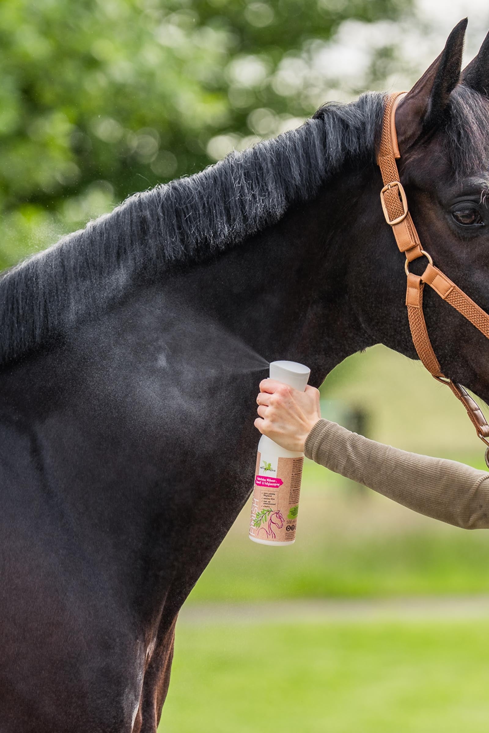 Bense & Eicke Natural Finish, 500ml Horse Health Care