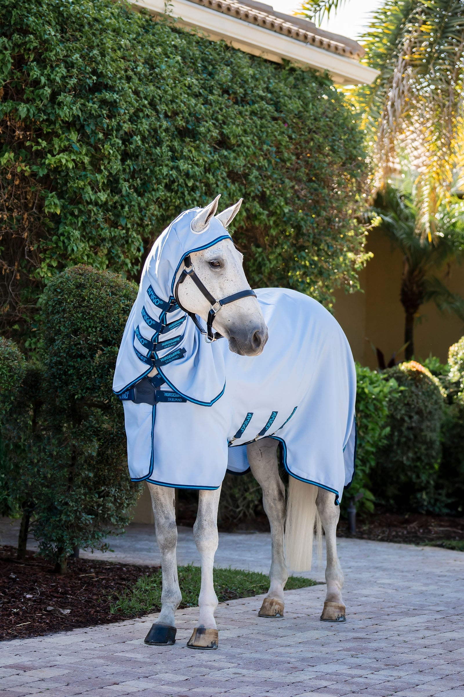 Horseware Amigo Ripstop Coperta antimosche Coperte per cavalli