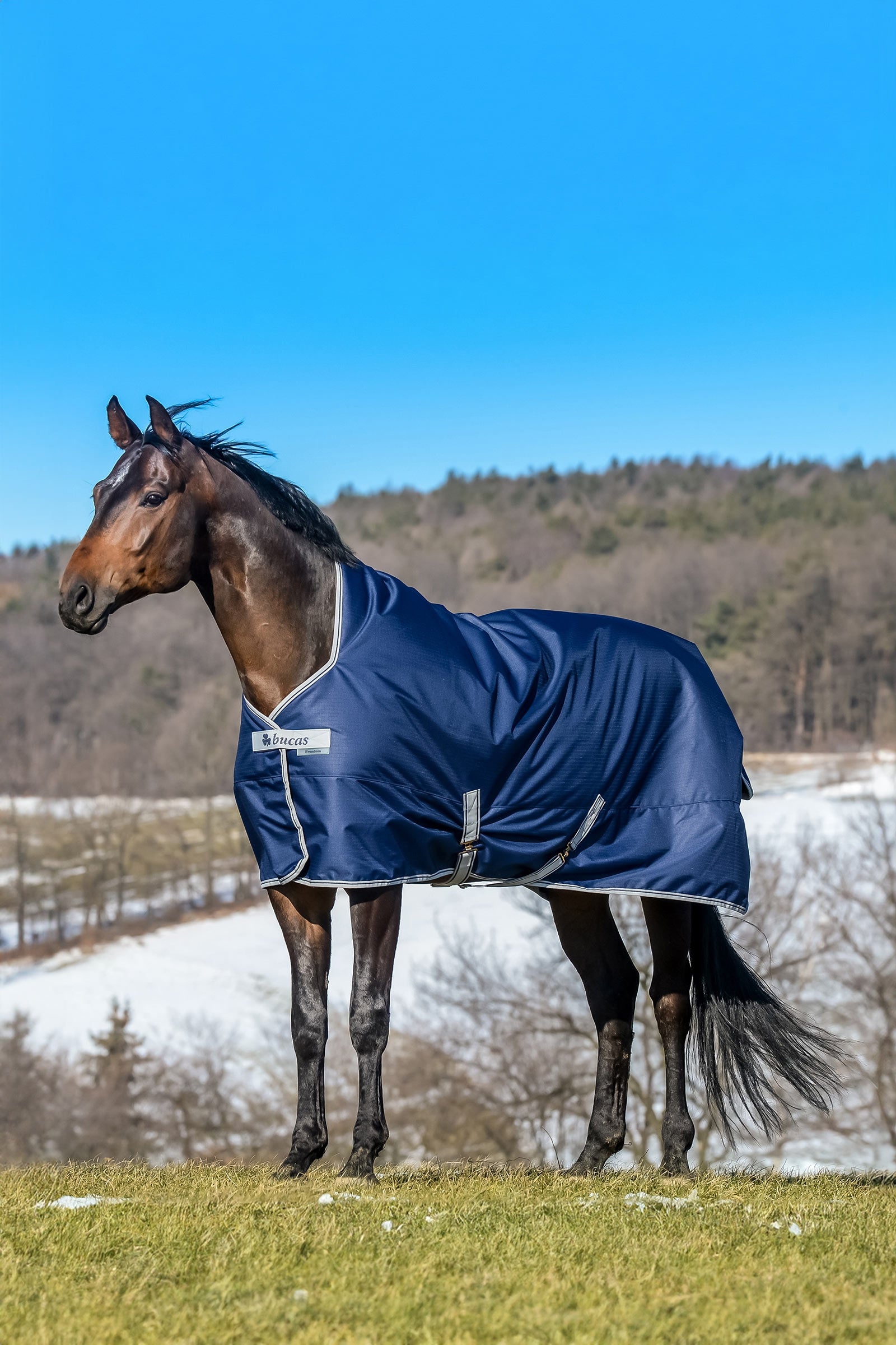 Bucas Freedom High Neck Turnout Rug, 150g Horse Rugs