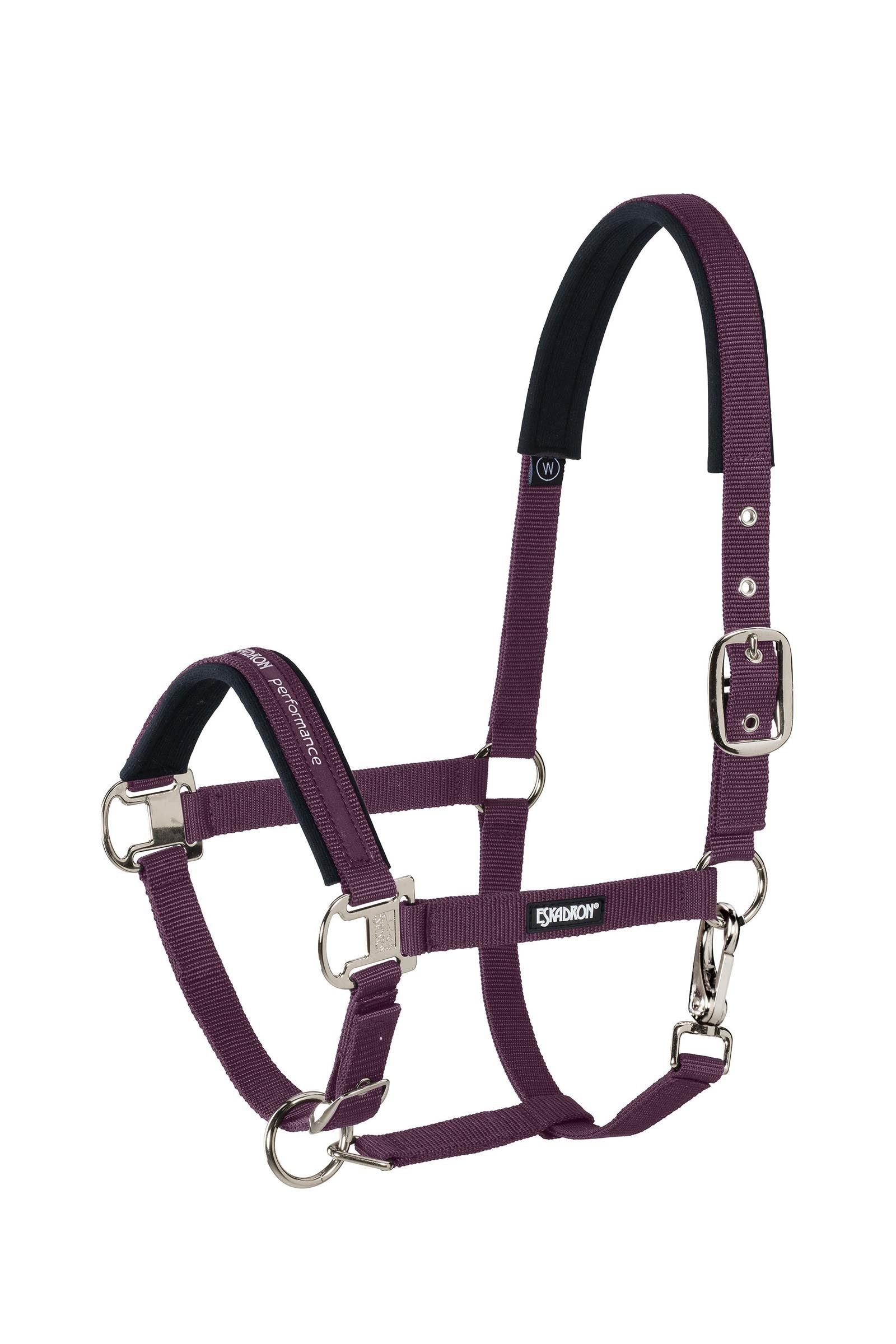 Eskadron Halter Pin Buckle Cavezze e guinsagli
