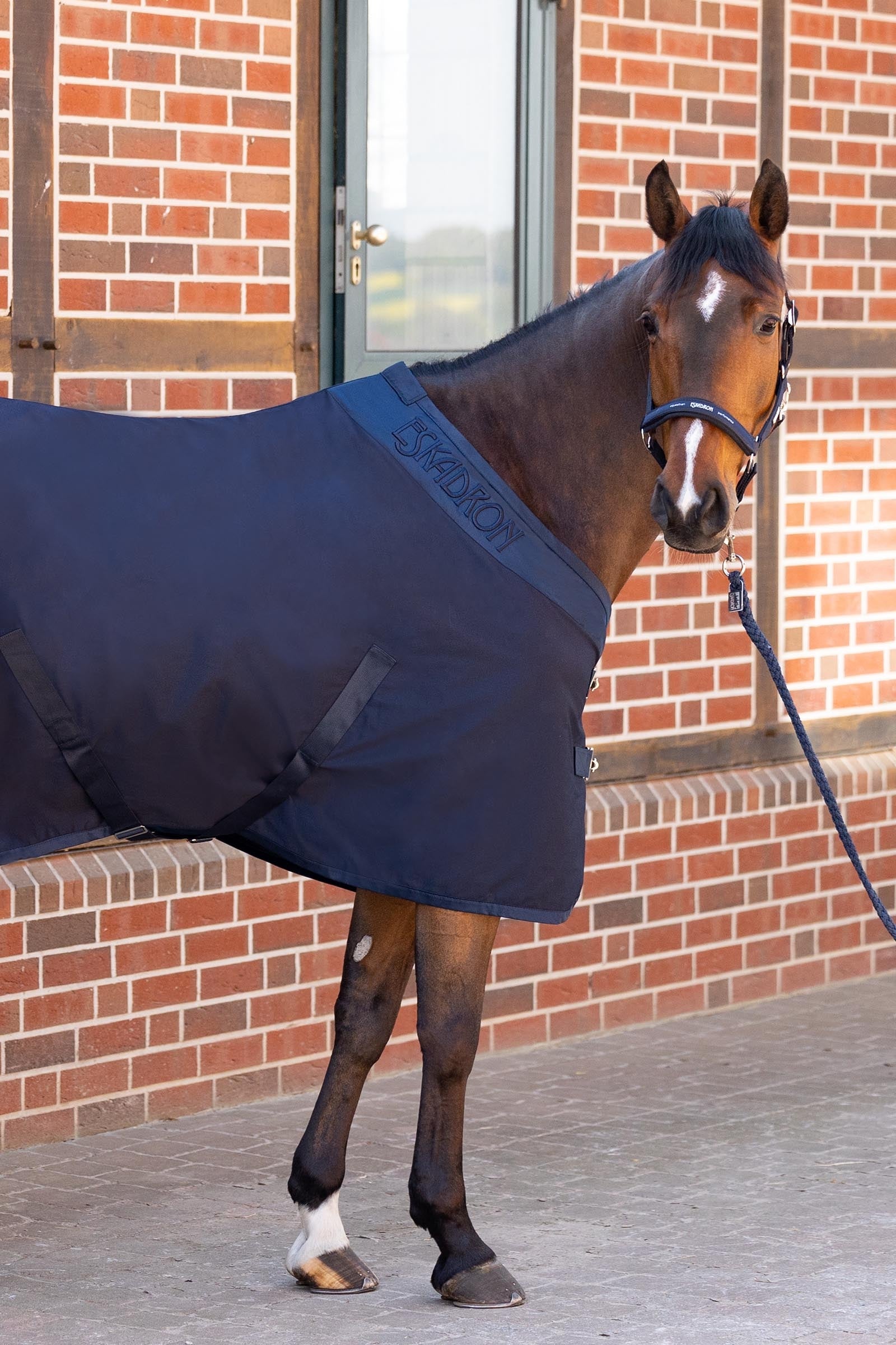 Eskadron Halter Pin Buckle Halters & Leads