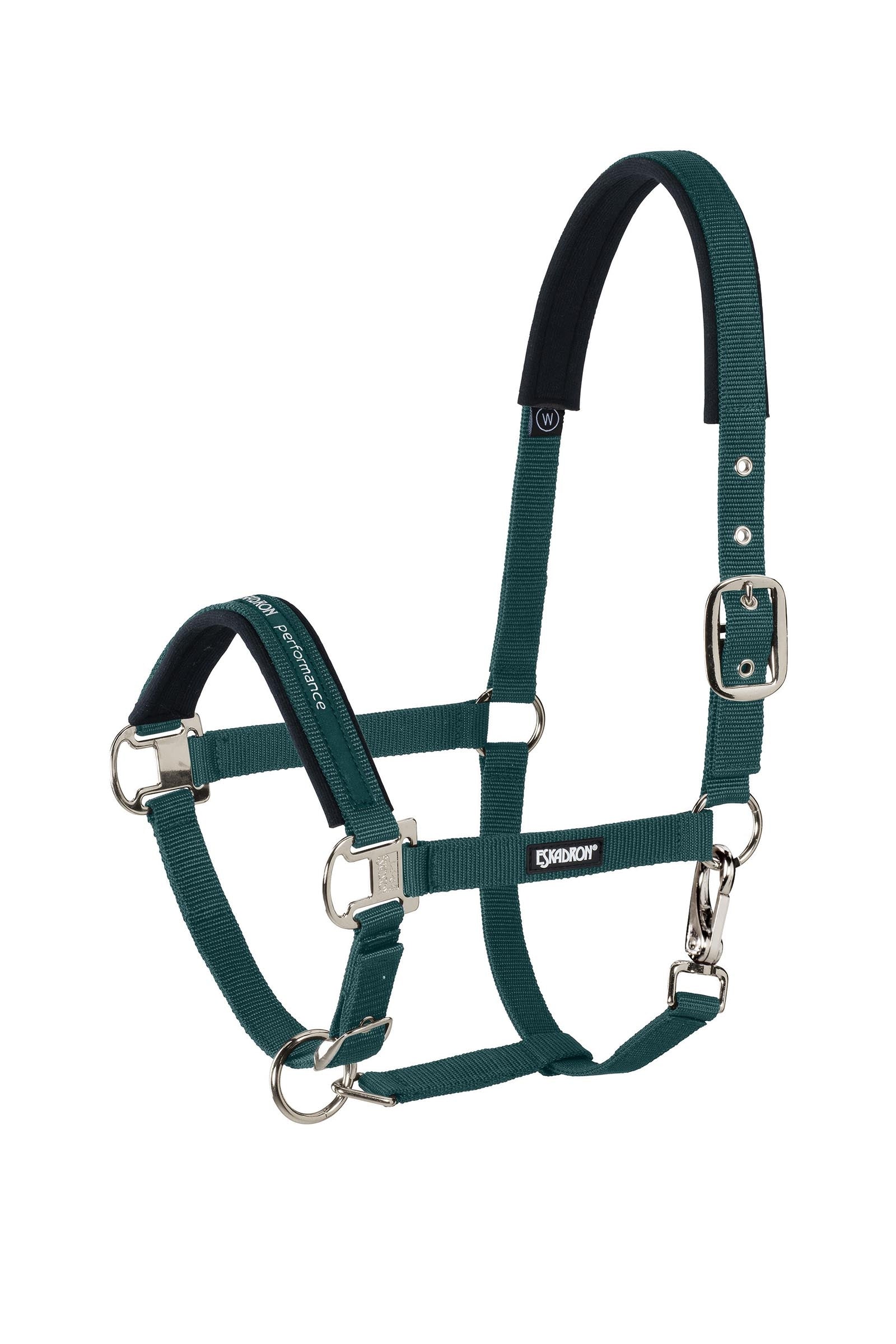 Eskadron Halter Pin Buckle Cavezze e guinsagli