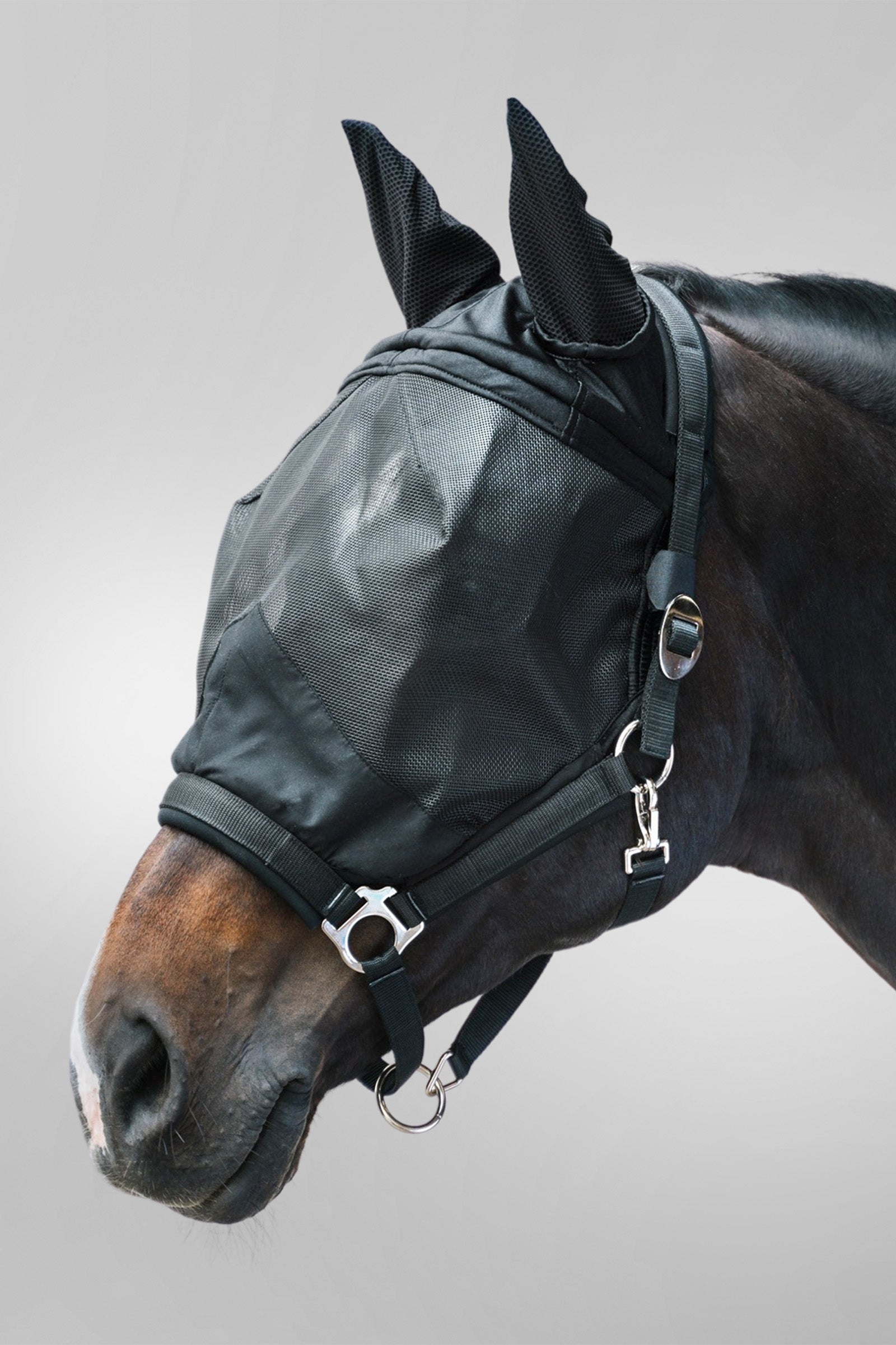 Waldhausen maschera antimosche Premium con capezza, protezione UV Protezione antimosche per cavalli