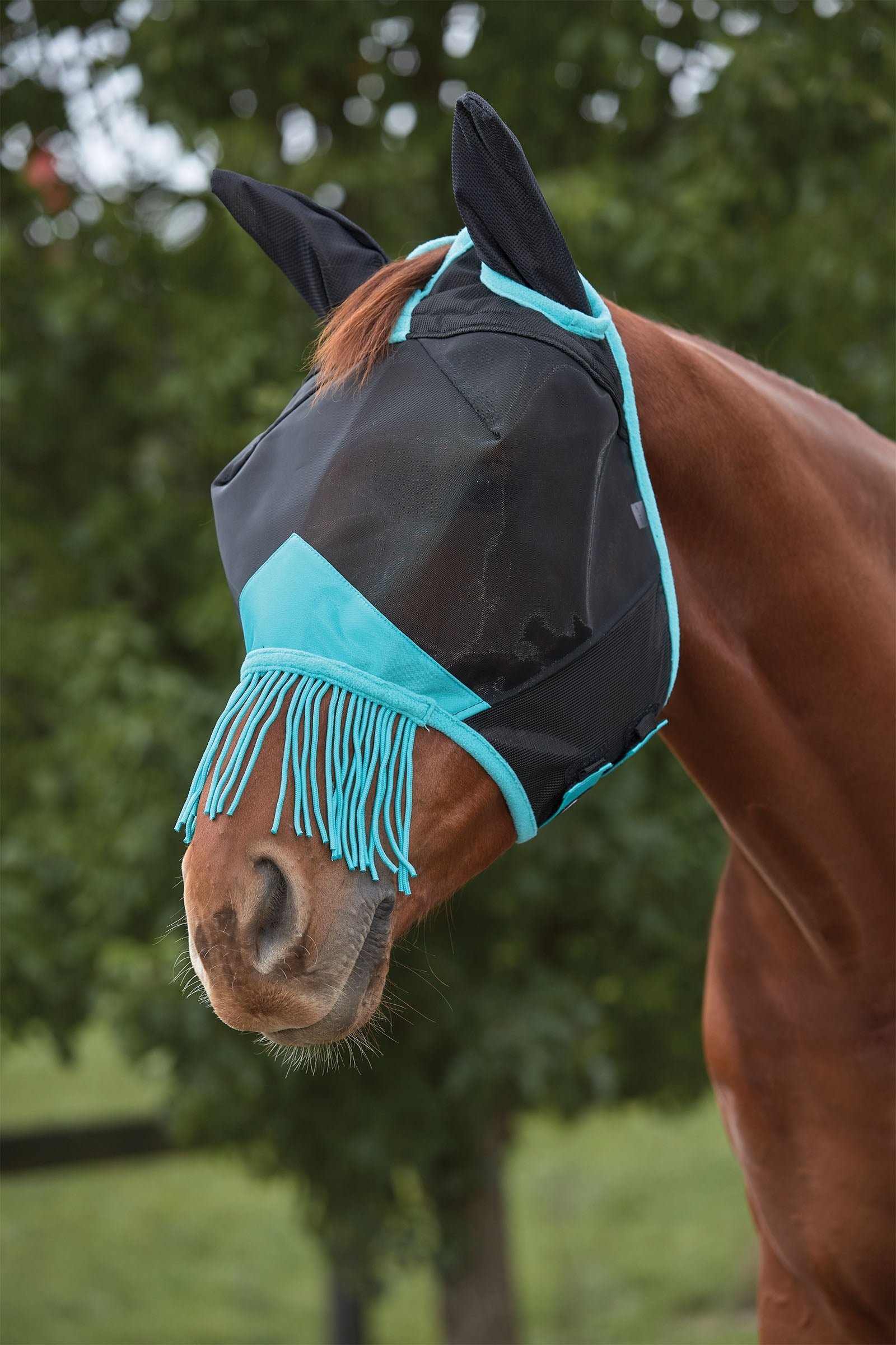 Weatherbeeta Comfitec Deluxe maschera in mesh fine con orecchie e frange Protezione antimosche per cavalli