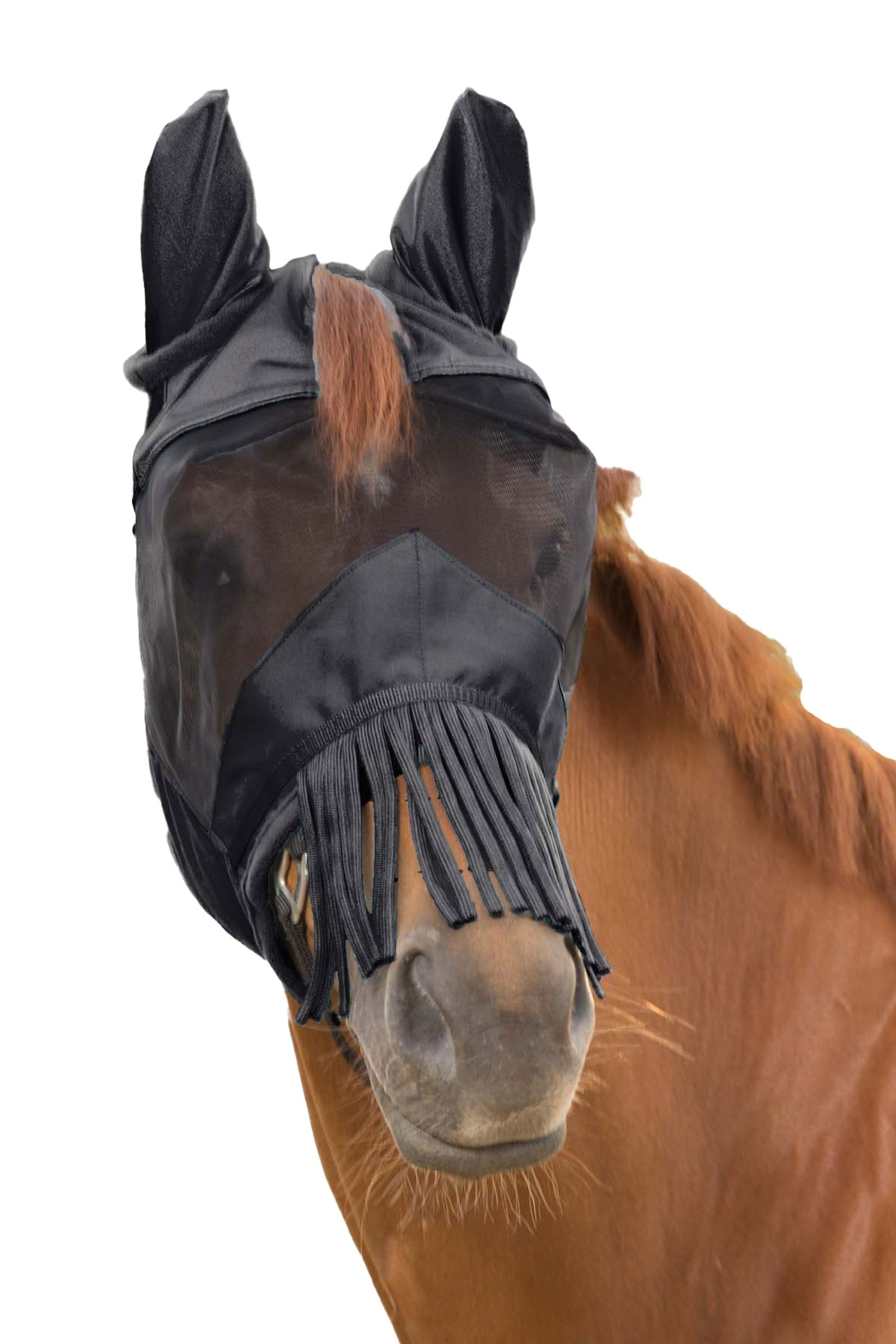 Waldhausen Premium maschera antimosche 3-in-1 Protezione antimosche per cavalli